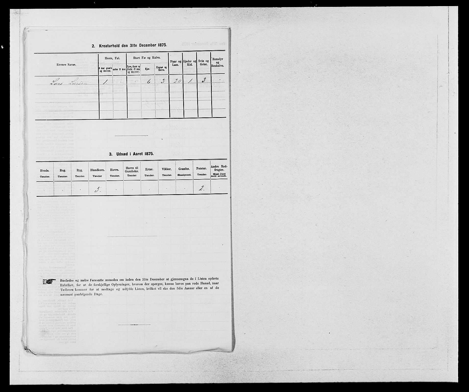 SAB, Folketelling 1875 for 1235P Voss prestegjeld, 1875, s. 699