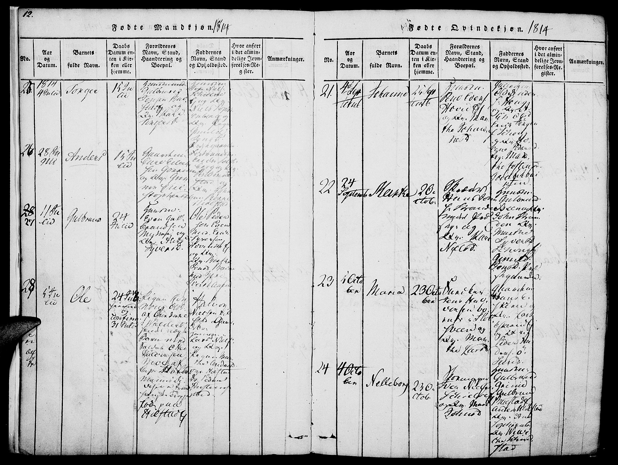 Nes prestekontor, Hedmark, AV/SAH-PREST-020/K/Ka/L0002: Ministerialbok nr. 2, 1813-1827, s. 12-13