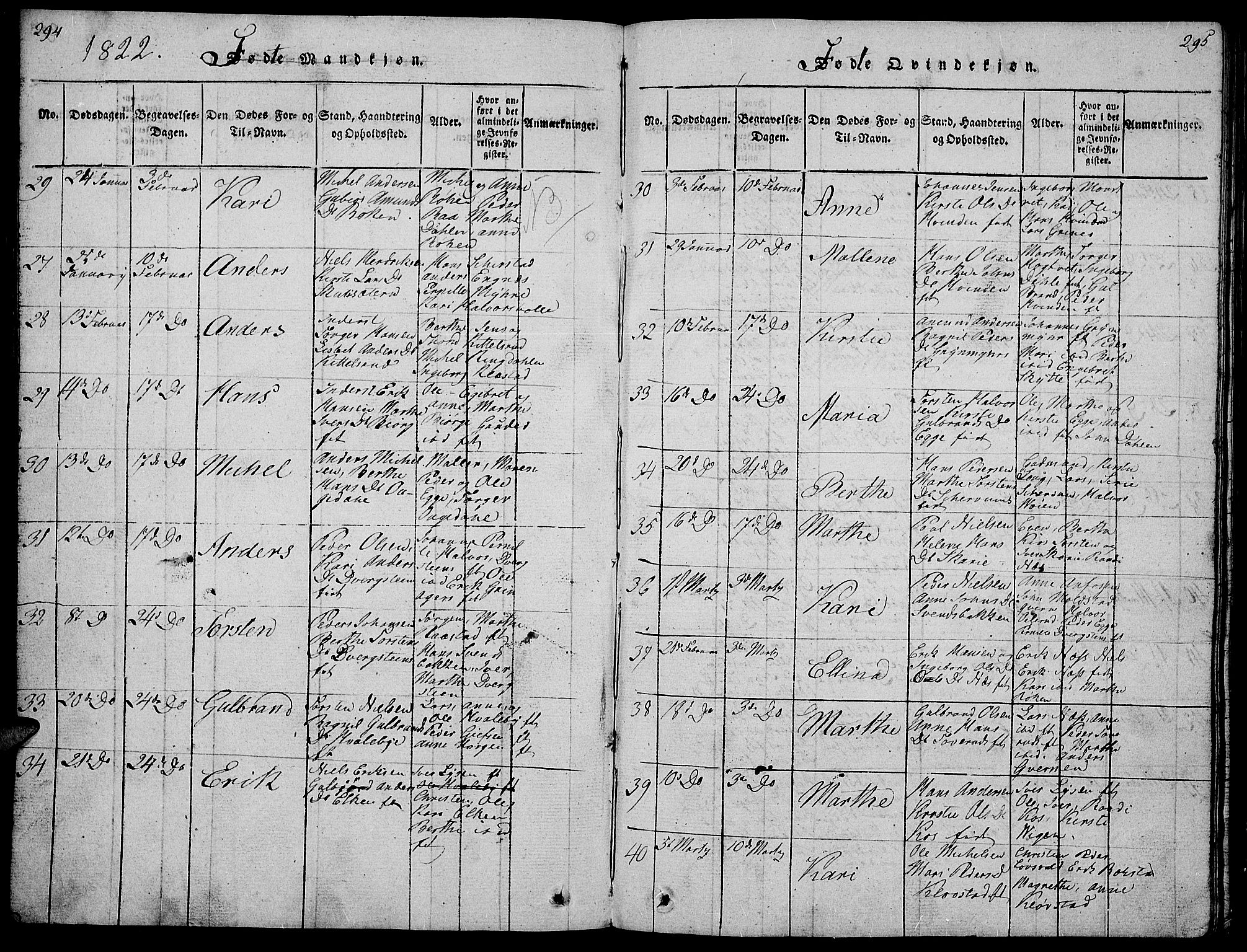 Gran prestekontor, AV/SAH-PREST-112/H/Ha/Hab/L0001: Klokkerbok nr. 1, 1815-1824, s. 294-295