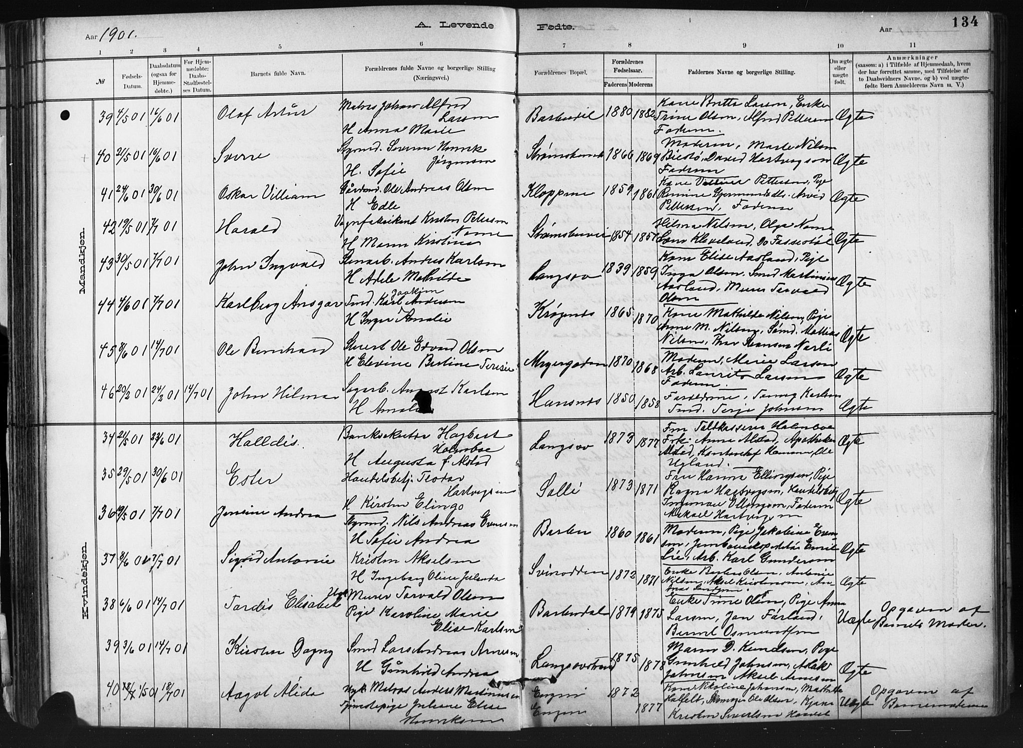 Barbu sokneprestkontor, AV/SAK-1111-0003/F/Fb/L0002: Klokkerbok nr. B 2, 1890-1922, s. 134