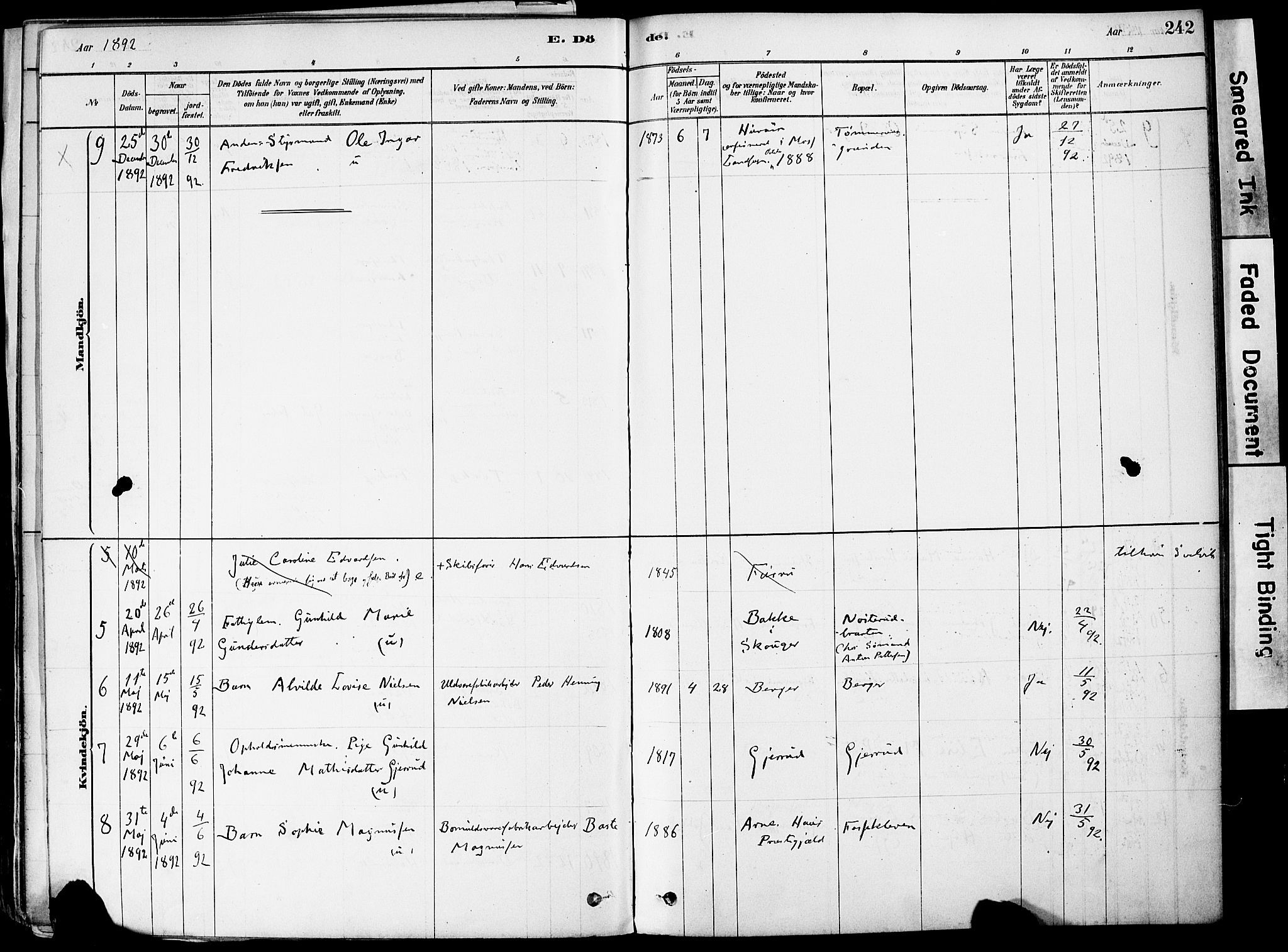 Strømm kirkebøker, AV/SAKO-A-322/F/Fa/L0004: Ministerialbok nr. I 4, 1878-1899, s. 242