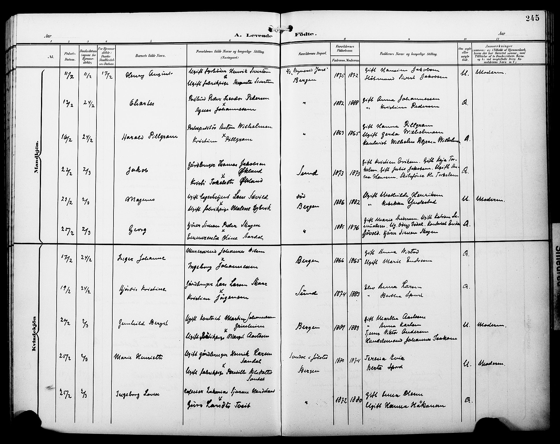 Fødselsstiftelsens sokneprestembete*, SAB/-: Klokkerbok nr. A 1, 1900-1909, s. 245
