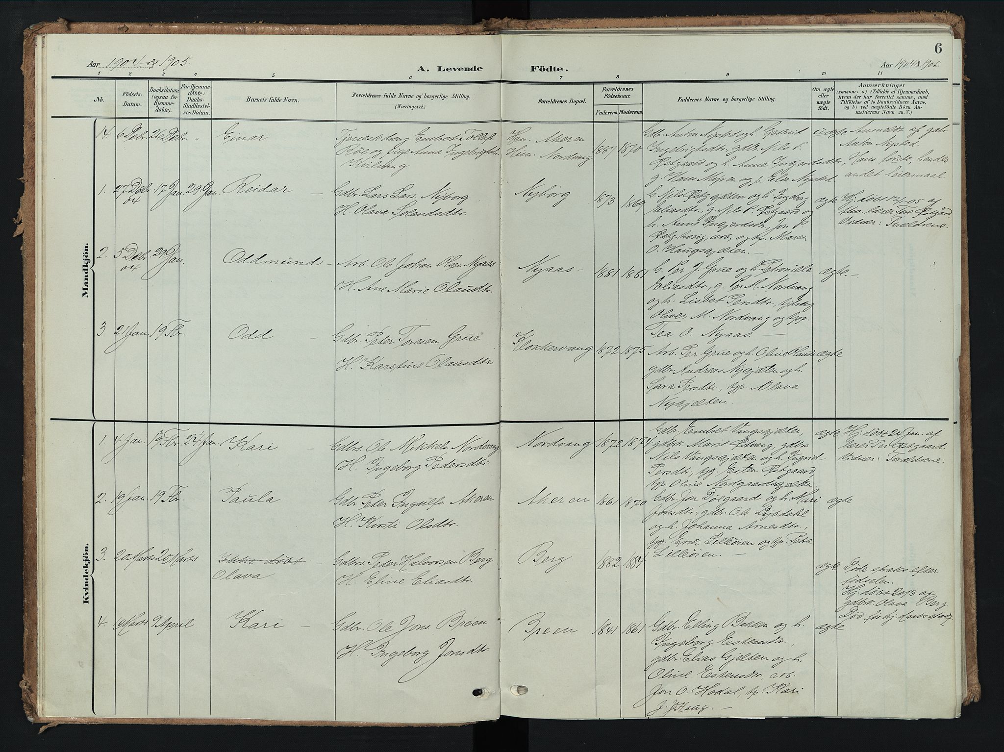 Tolga prestekontor, AV/SAH-PREST-062/K/L0009: Ministerialbok nr. 9, 1903-1928, s. 6