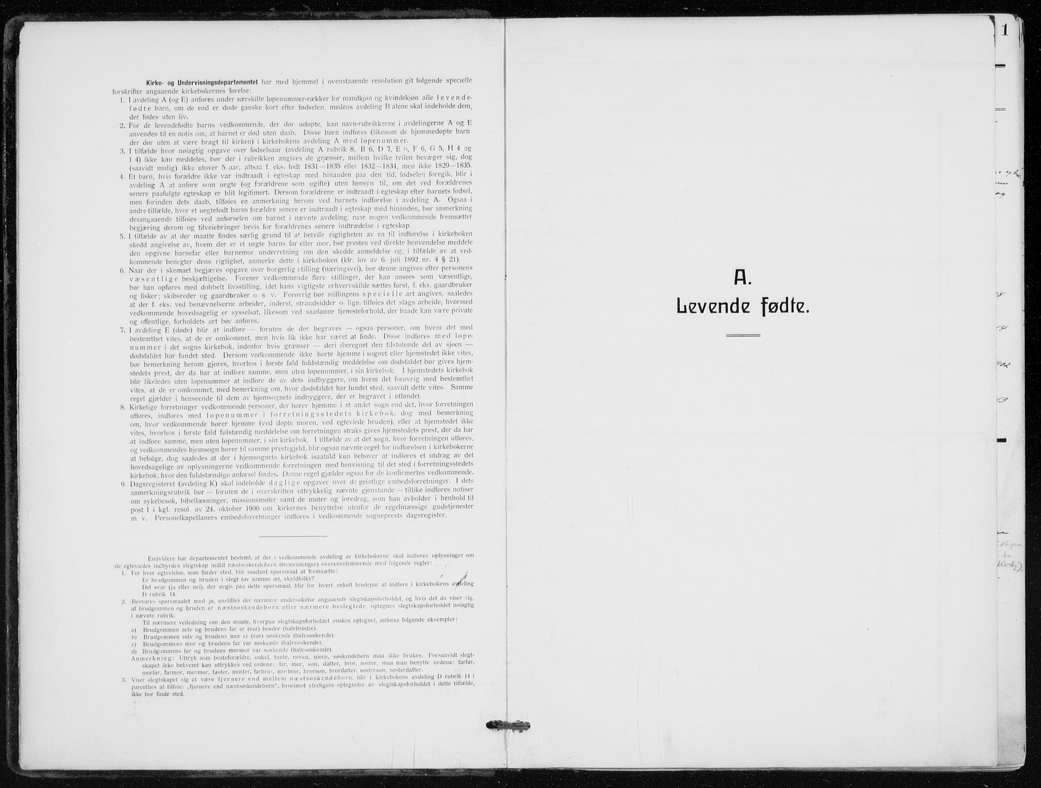 Kampen prestekontor Kirkebøker, AV/SAO-A-10853/F/Fa/L0012: Ministerialbok nr. I 12, 1916-1921