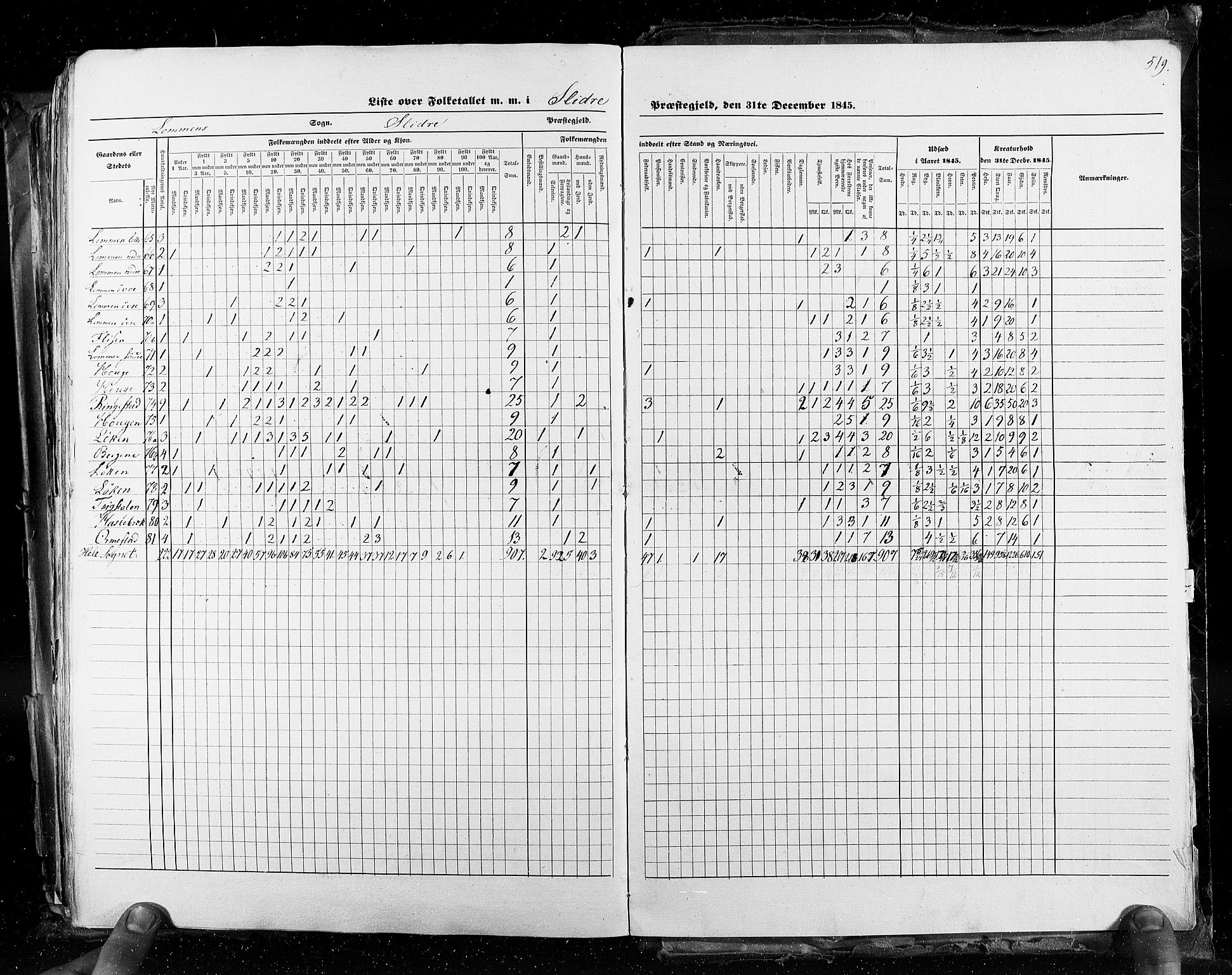 RA, Folketellingen 1845, bind 3: Hedemarken amt og Kristians amt, 1845, s. 519