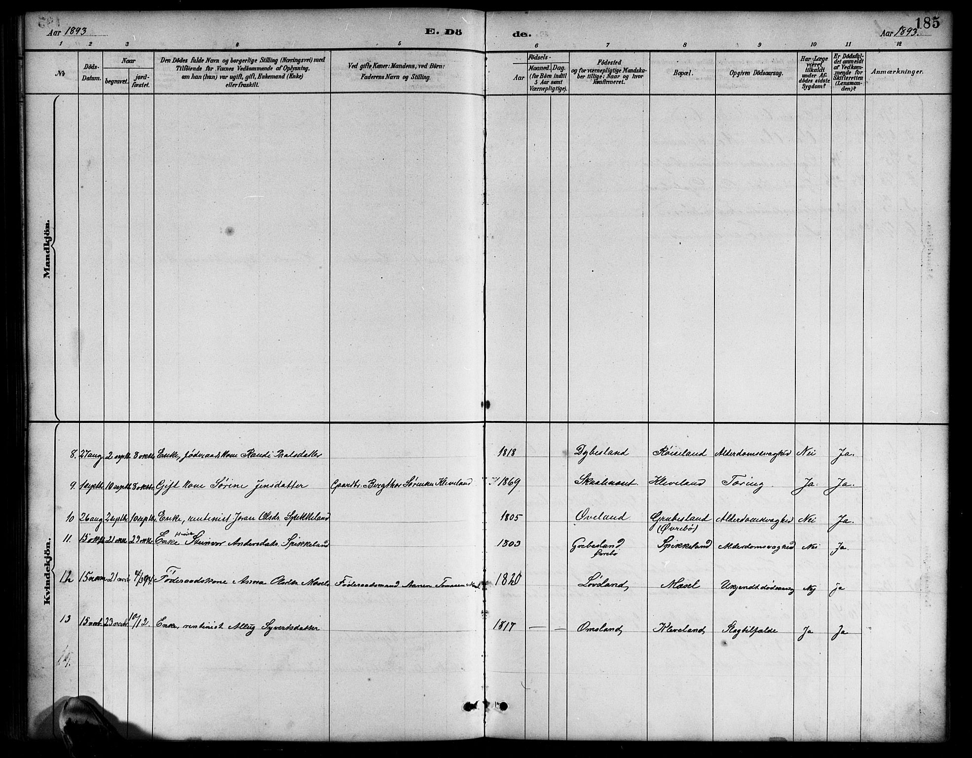 Bjelland sokneprestkontor, SAK/1111-0005/F/Fb/Fbb/L0005: Klokkerbok nr. B 5, 1887-1918, s. 185