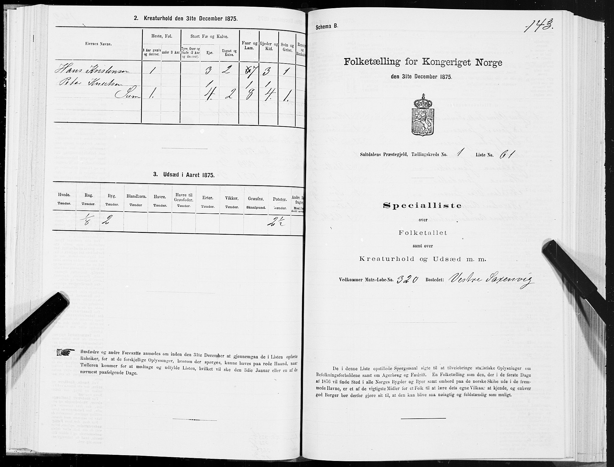 SAT, Folketelling 1875 for 1840P Saltdal prestegjeld, 1875, s. 1143