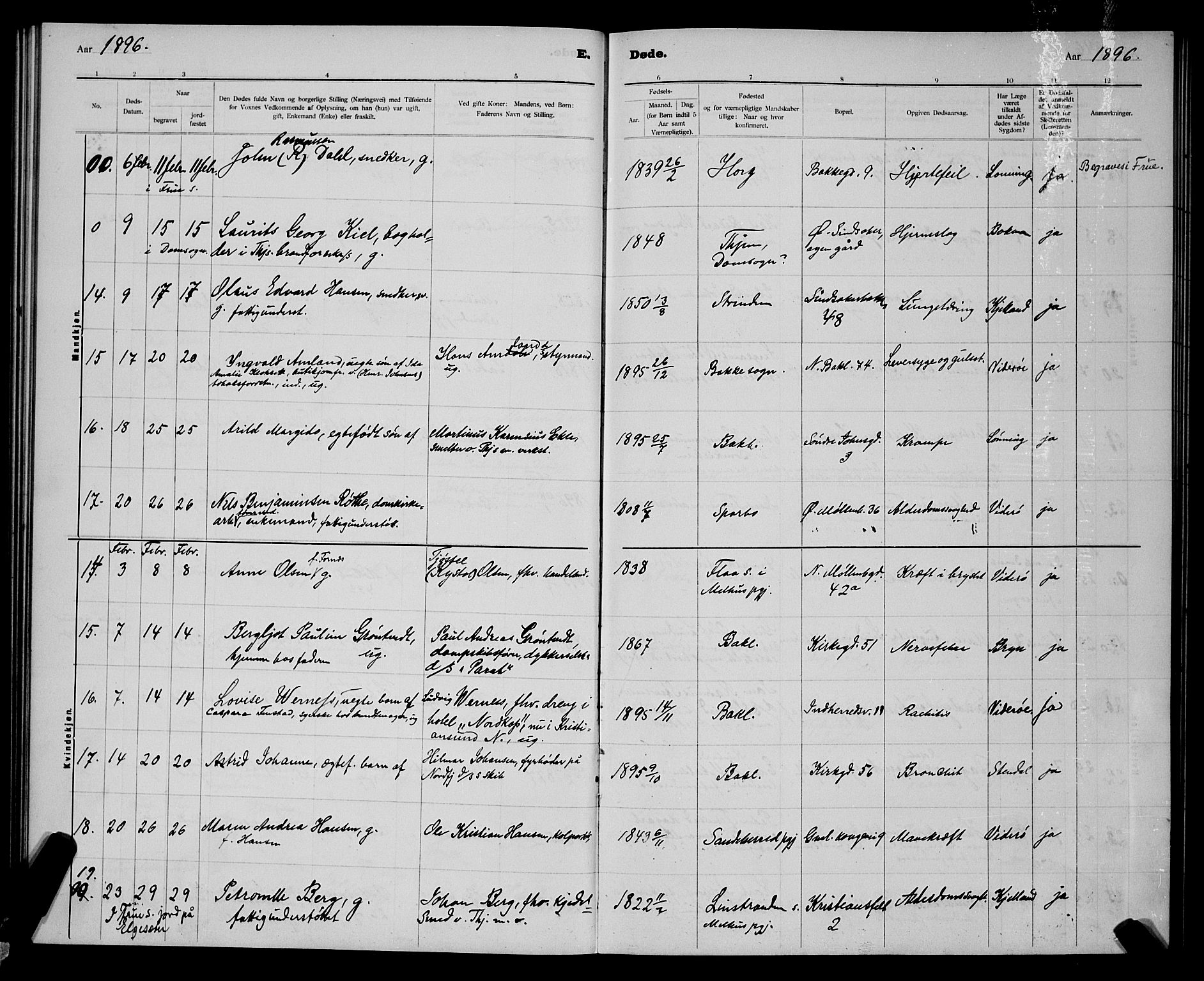 Ministerialprotokoller, klokkerbøker og fødselsregistre - Sør-Trøndelag, AV/SAT-A-1456/604/L0224: Klokkerbok nr. 604C07, 1894-1898