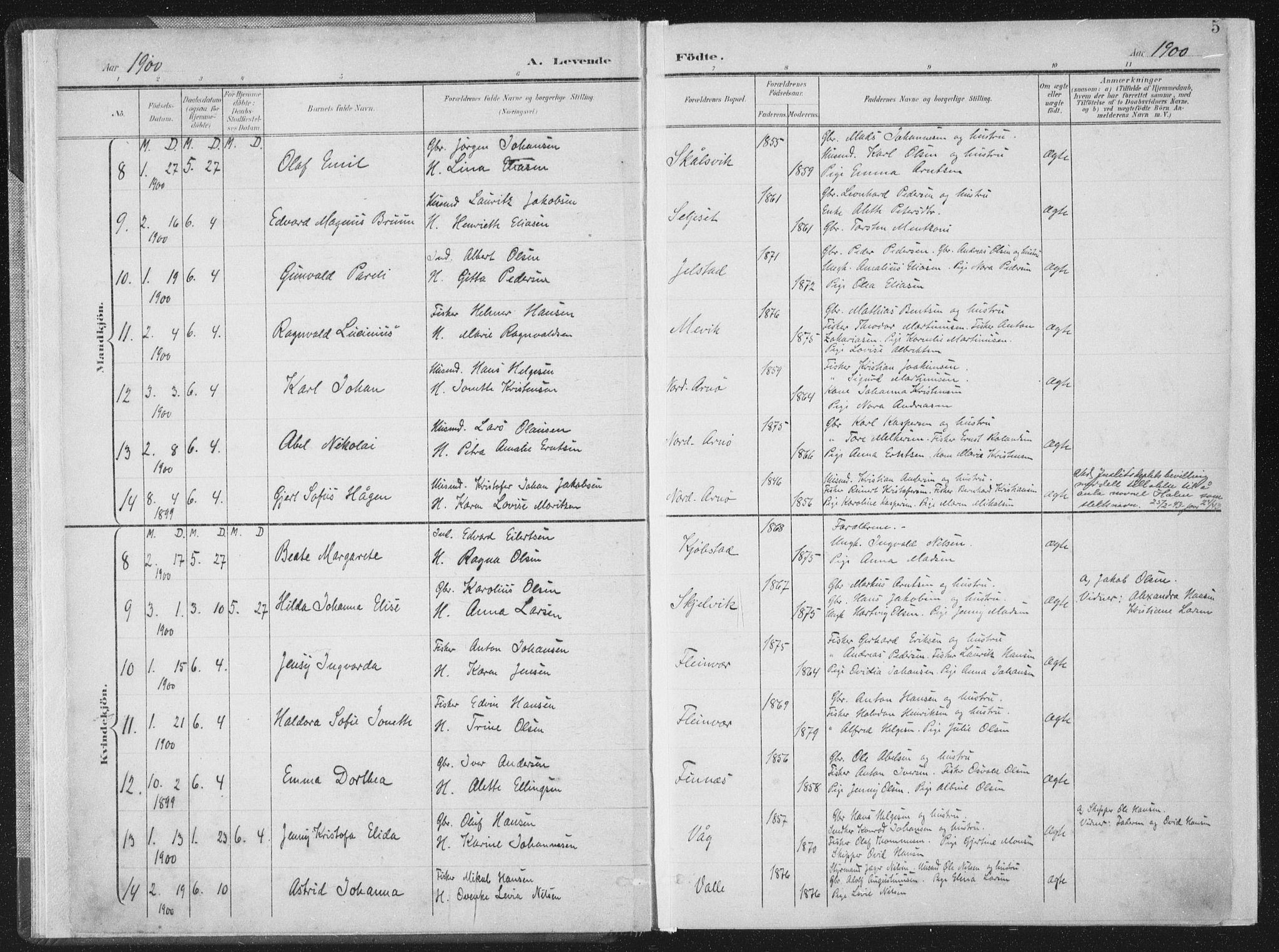 Ministerialprotokoller, klokkerbøker og fødselsregistre - Nordland, AV/SAT-A-1459/805/L0102: Ministerialbok nr. 805A08I, 1900-1909, s. 5