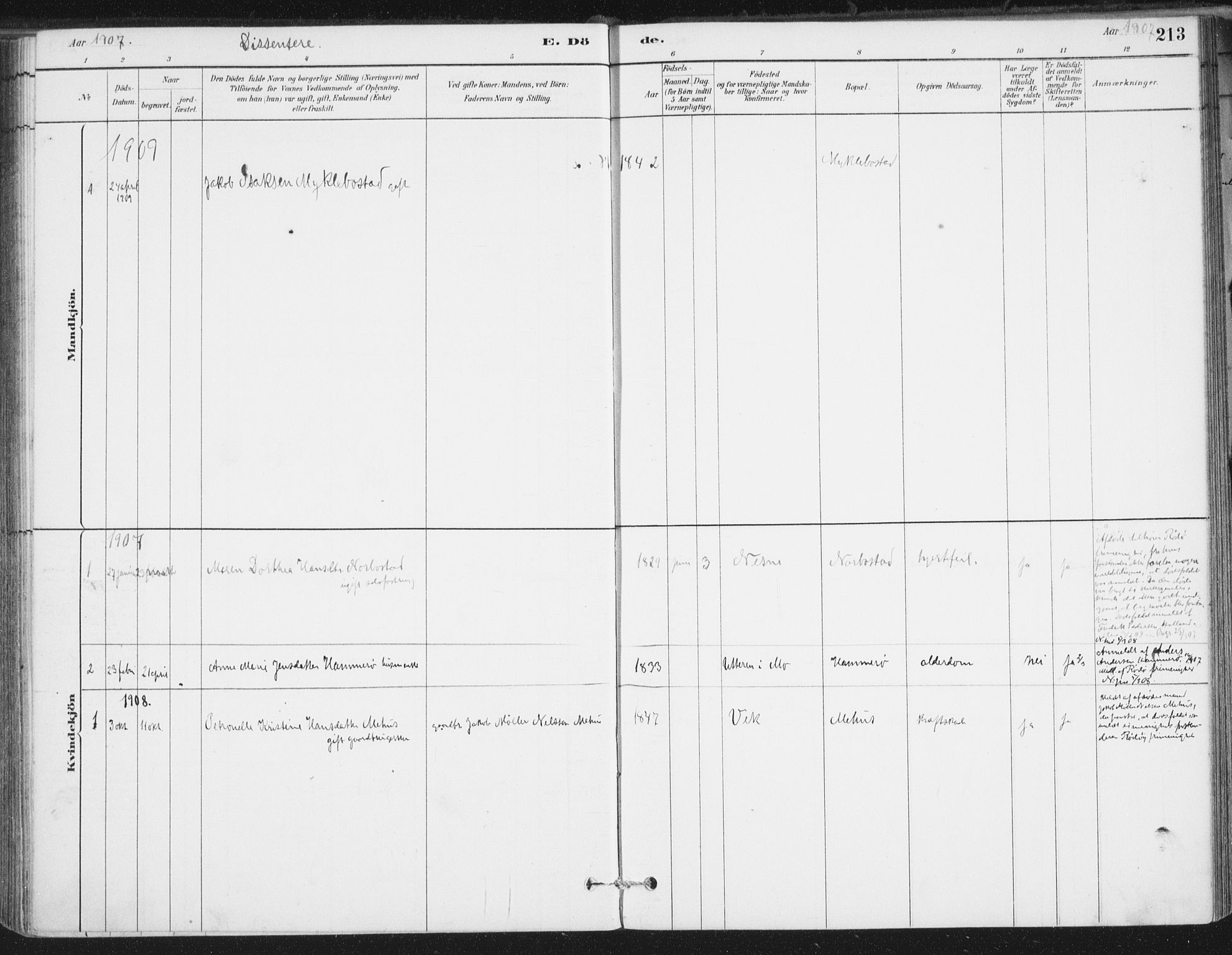 Ministerialprotokoller, klokkerbøker og fødselsregistre - Nordland, SAT/A-1459/838/L0553: Ministerialbok nr. 838A11, 1880-1910, s. 213