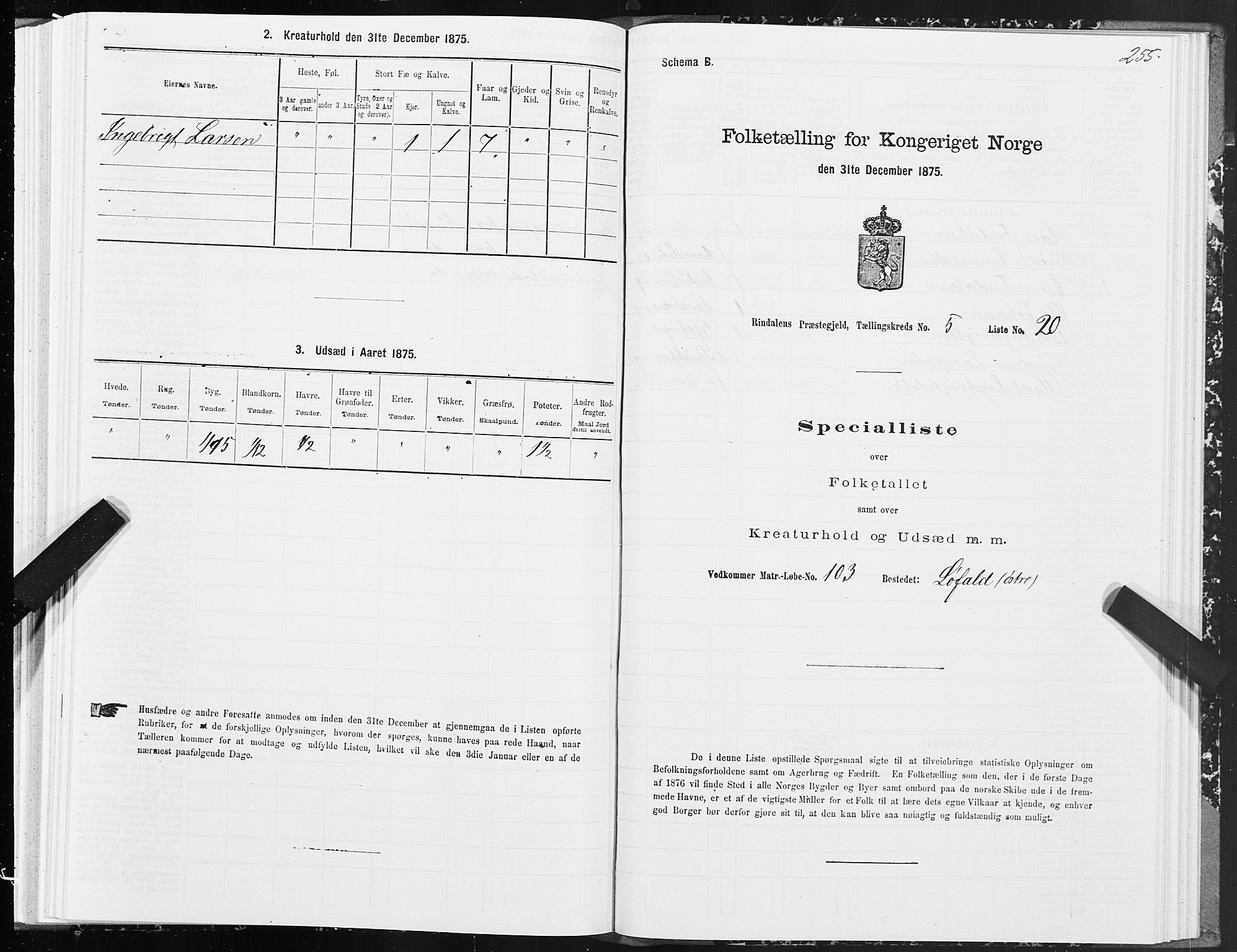 SAT, Folketelling 1875 for 1567P Rindal prestegjeld, 1875, s. 2255