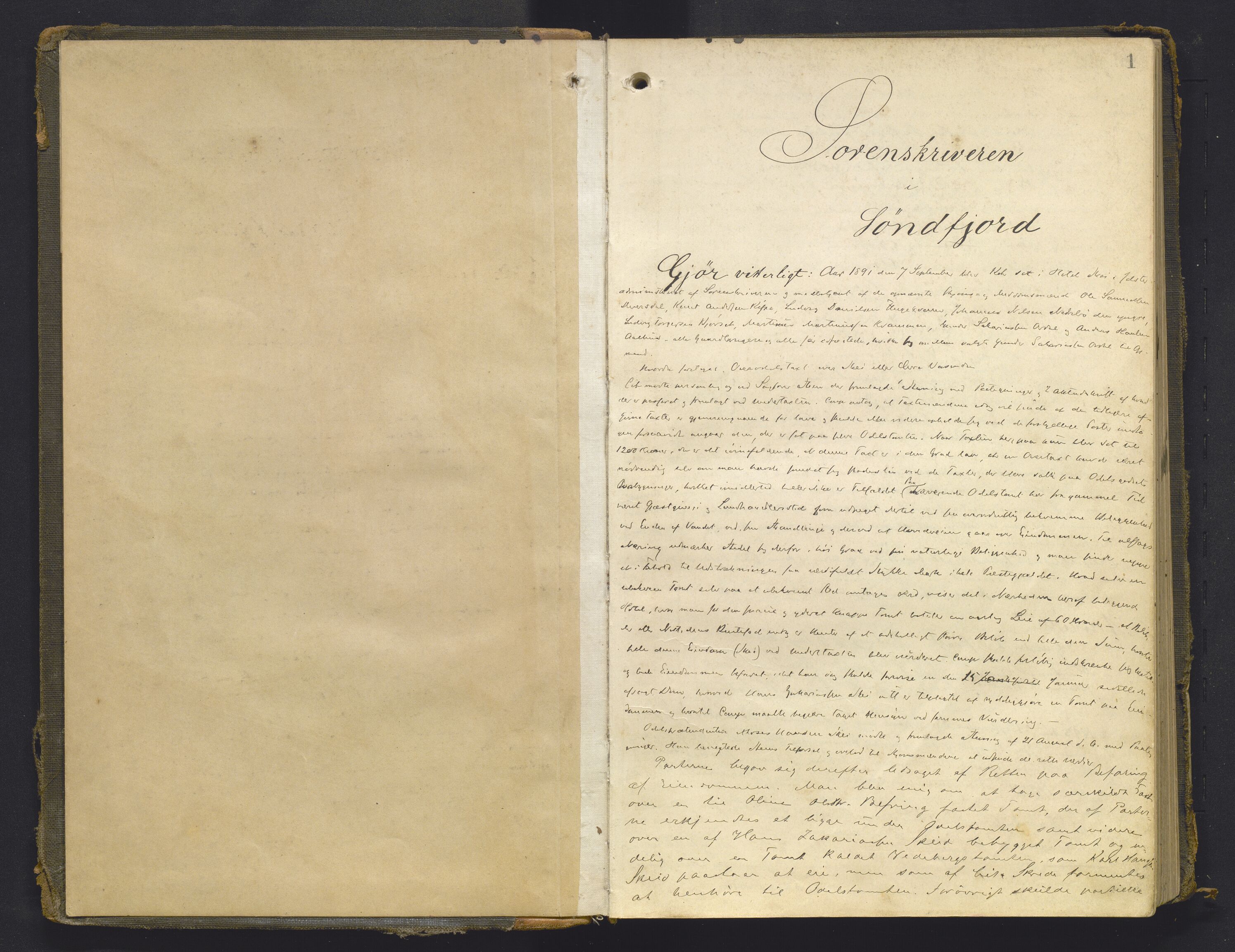 Sunnfjord tingrett, AV/SAB-A-3201/1/F/Fb/Fba/L0054: Ekstrarettsprotokoll, 1891-1908, s. 1a