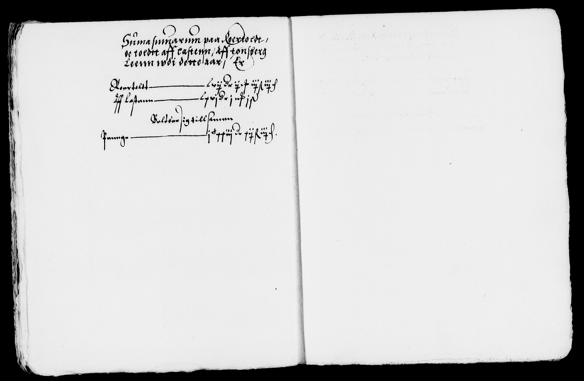 Rentekammeret inntil 1814, Reviderte regnskaper, Lensregnskaper, AV/RA-EA-5023/R/Rb/Rbo/L0001: Tønsberg len, 1584-1612