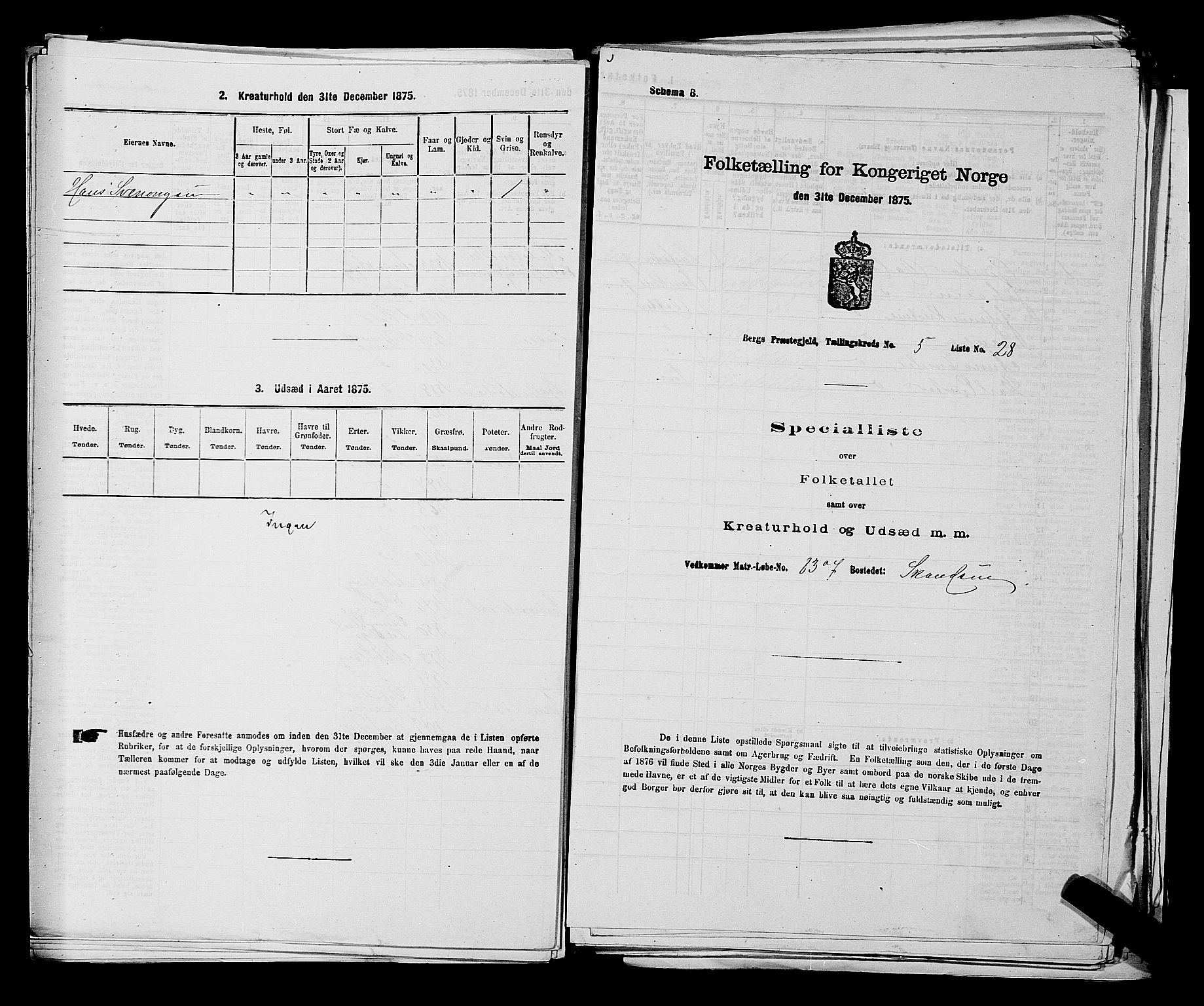 RA, Folketelling 1875 for 0116P Berg prestegjeld, 1875, s. 733