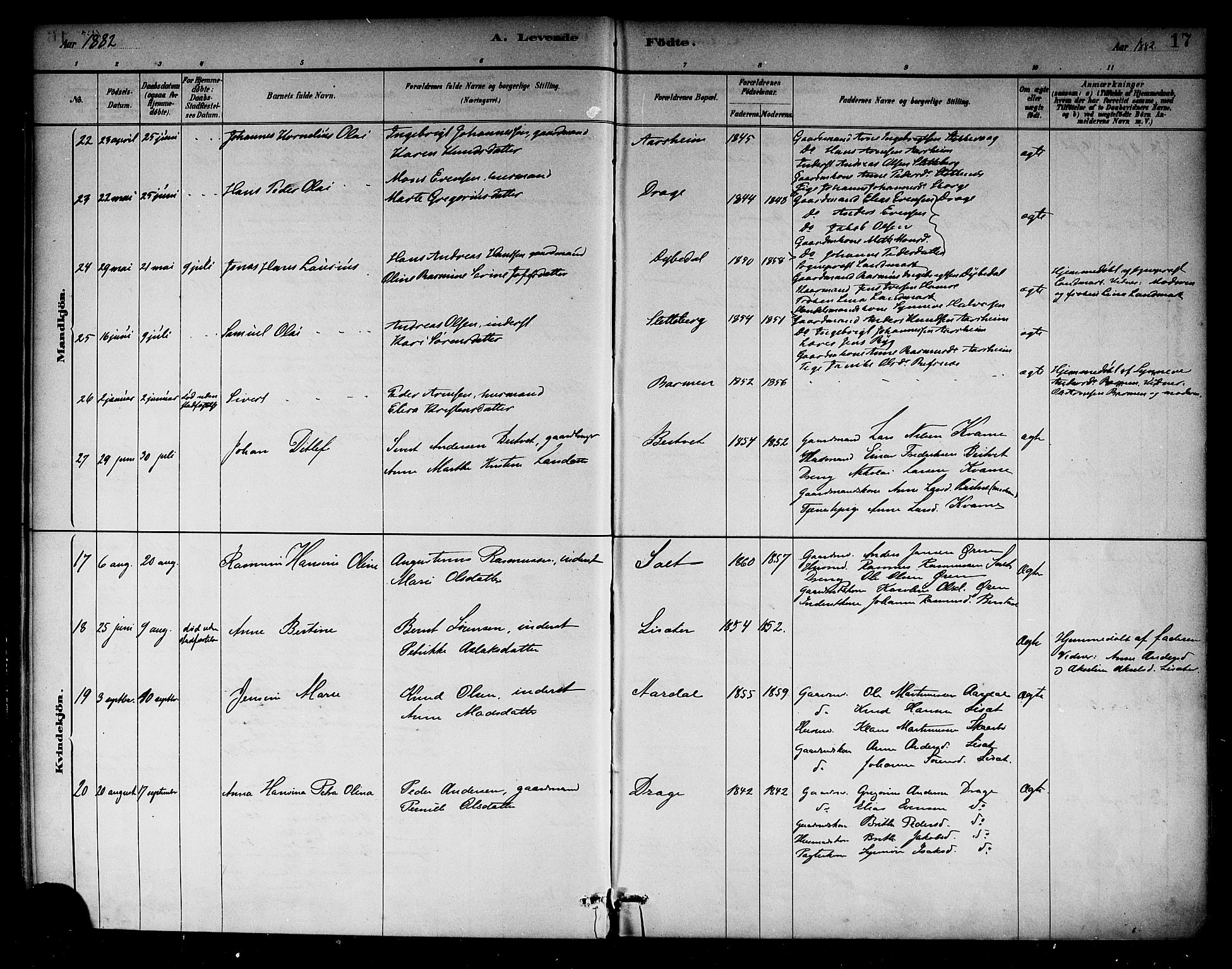 Selje sokneprestembete, AV/SAB-A-99938/H/Ha/Haa/Haab: Ministerialbok nr. B 1, 1881-1890, s. 17