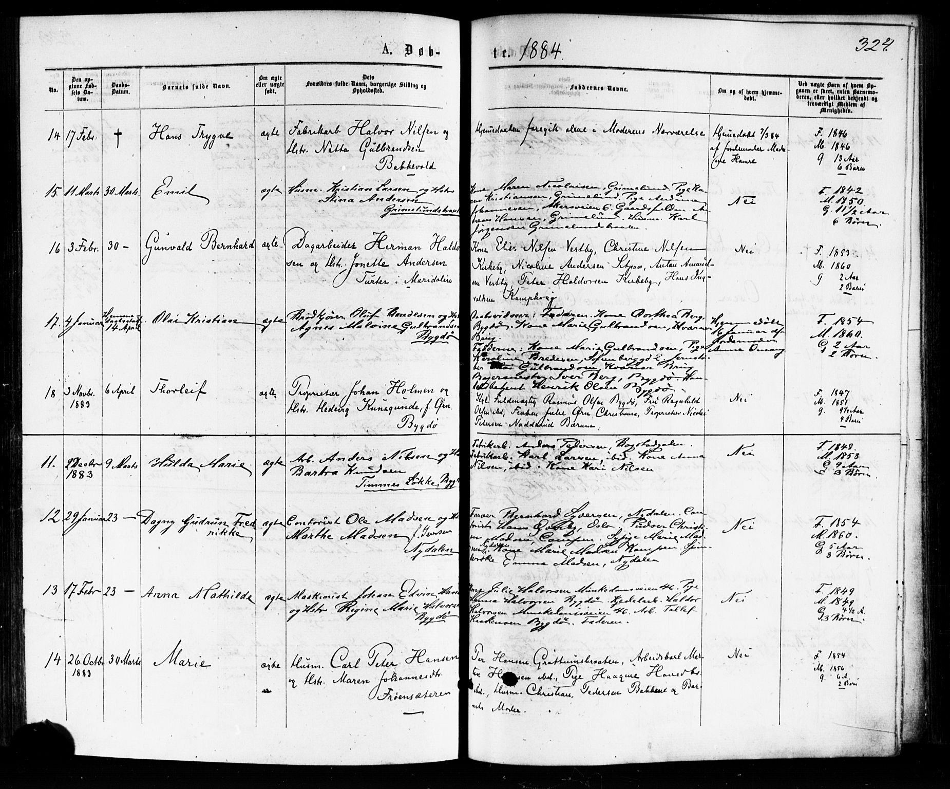 Vestre Aker prestekontor Kirkebøker, AV/SAO-A-10025/F/Fa/L0007: Ministerialbok nr. 7, 1875-1886, s. 324