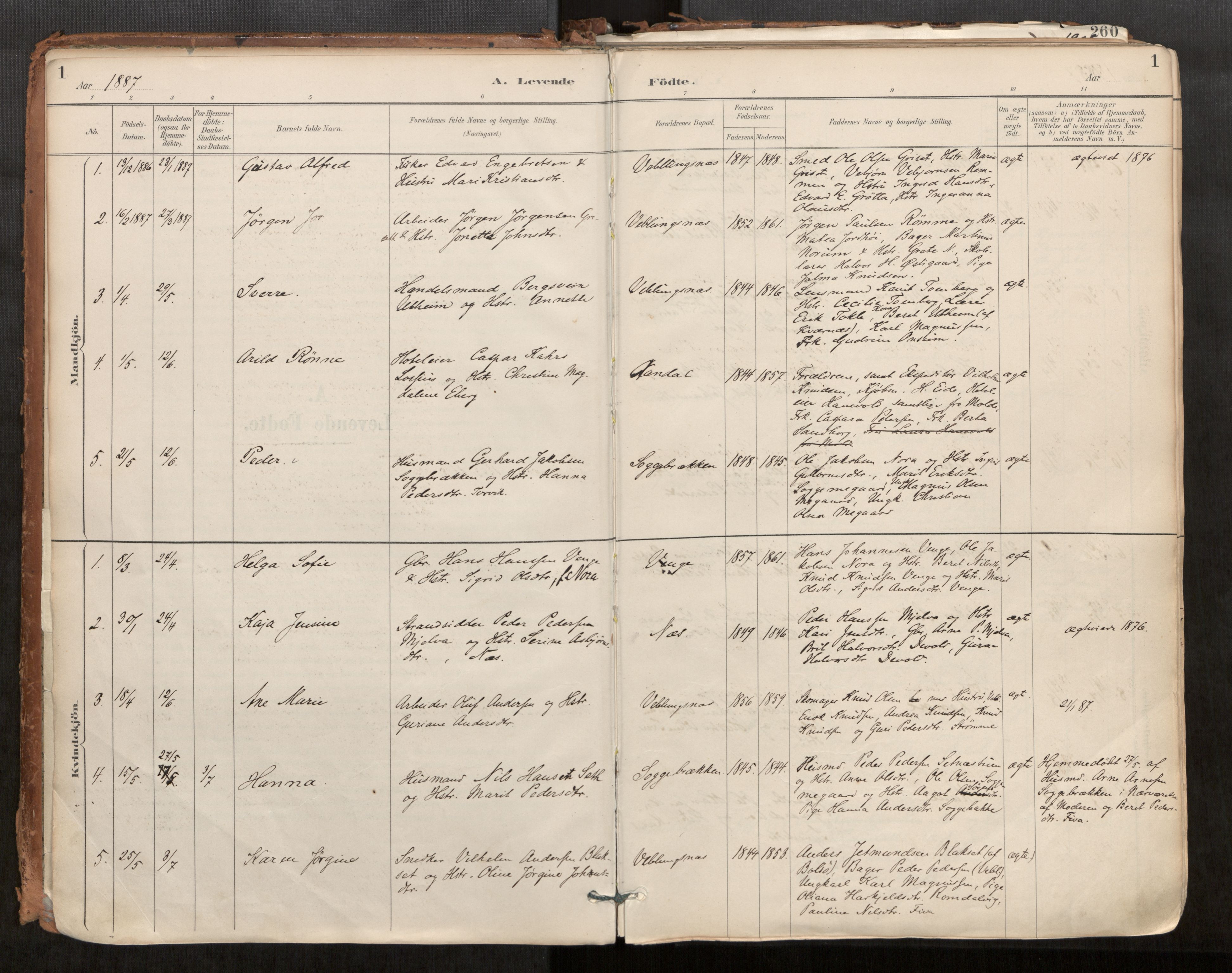 Ministerialprotokoller, klokkerbøker og fødselsregistre - Møre og Romsdal, AV/SAT-A-1454/544/L0585: Ministerialbok nr. 544A06, 1887-1924, s. 1