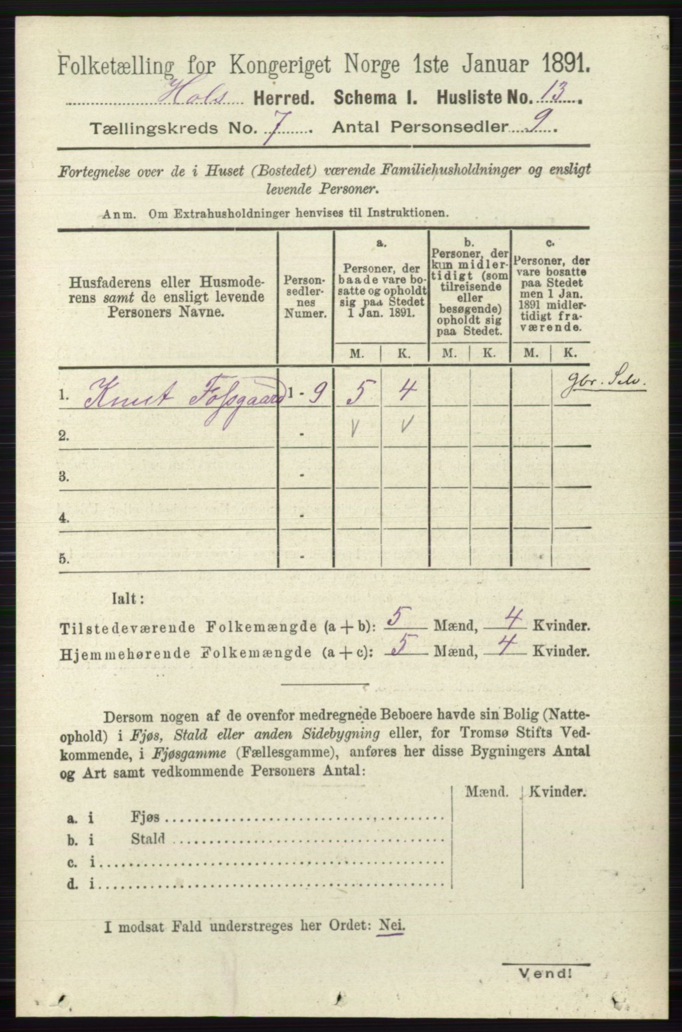 RA, Folketelling 1891 for 0620 Hol herred, 1891, s. 1988