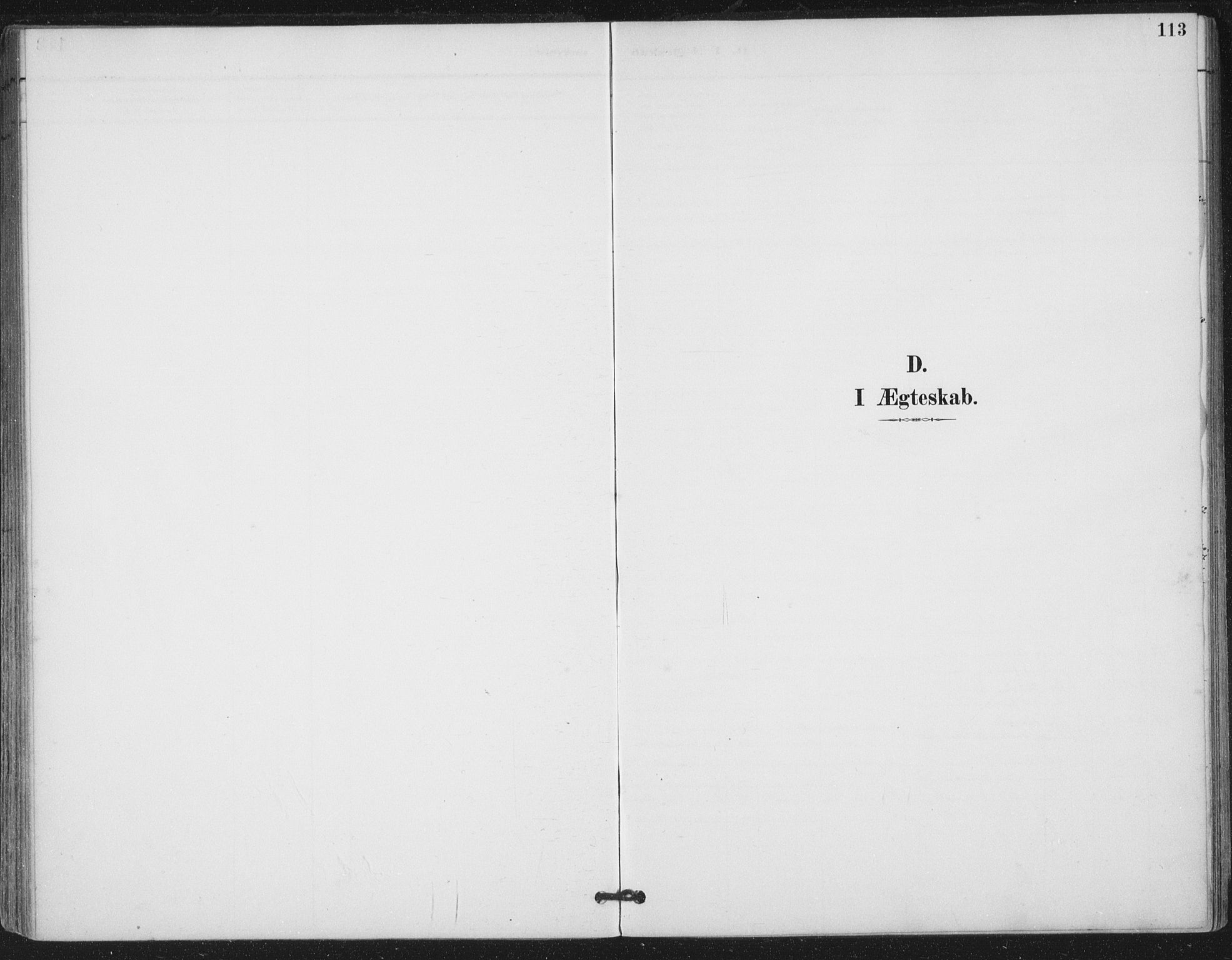 Ministerialprotokoller, klokkerbøker og fødselsregistre - Nord-Trøndelag, SAT/A-1458/780/L0644: Ministerialbok nr. 780A08, 1886-1903, s. 113