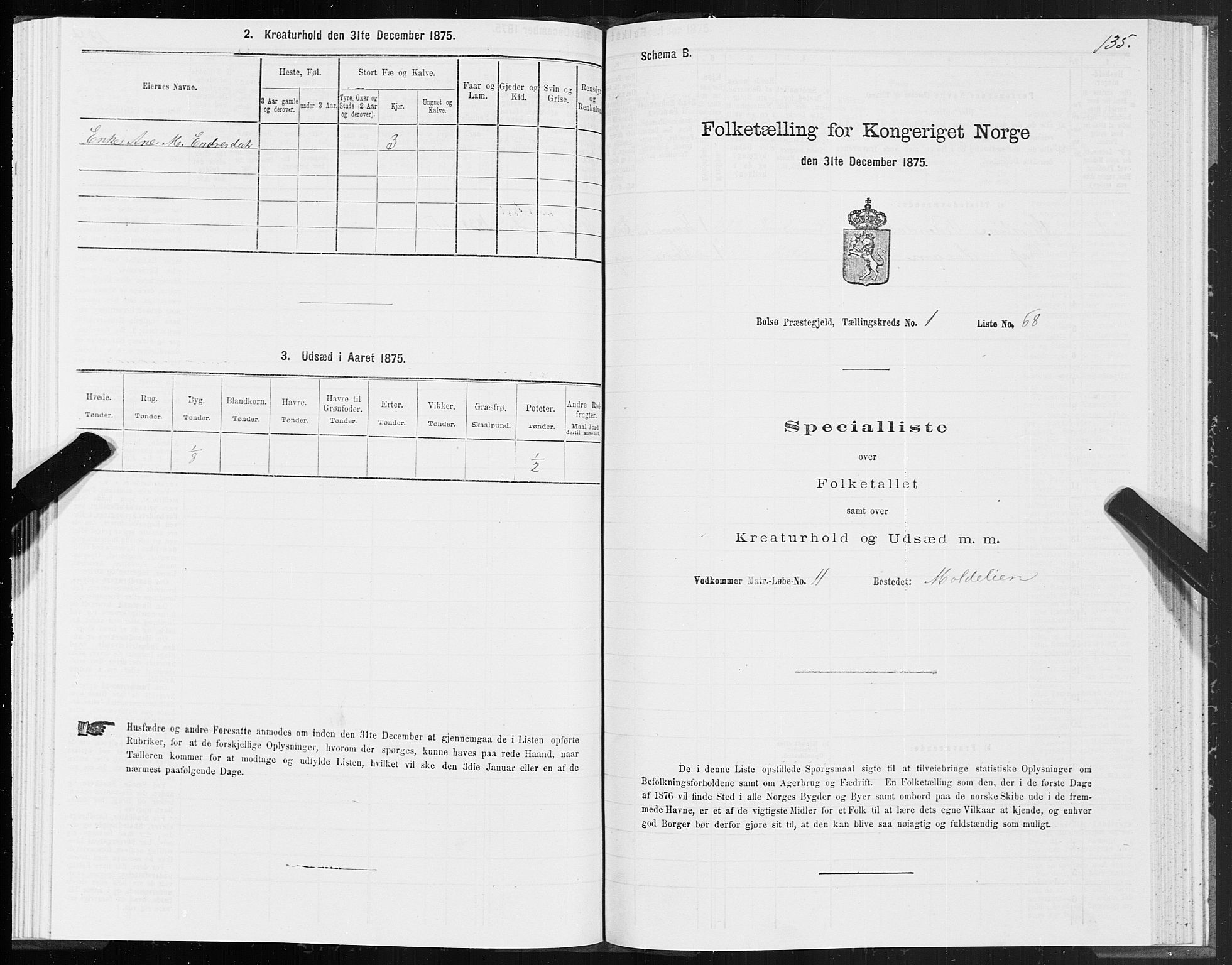 SAT, Folketelling 1875 for 1544P Bolsøy prestegjeld, 1875, s. 1135