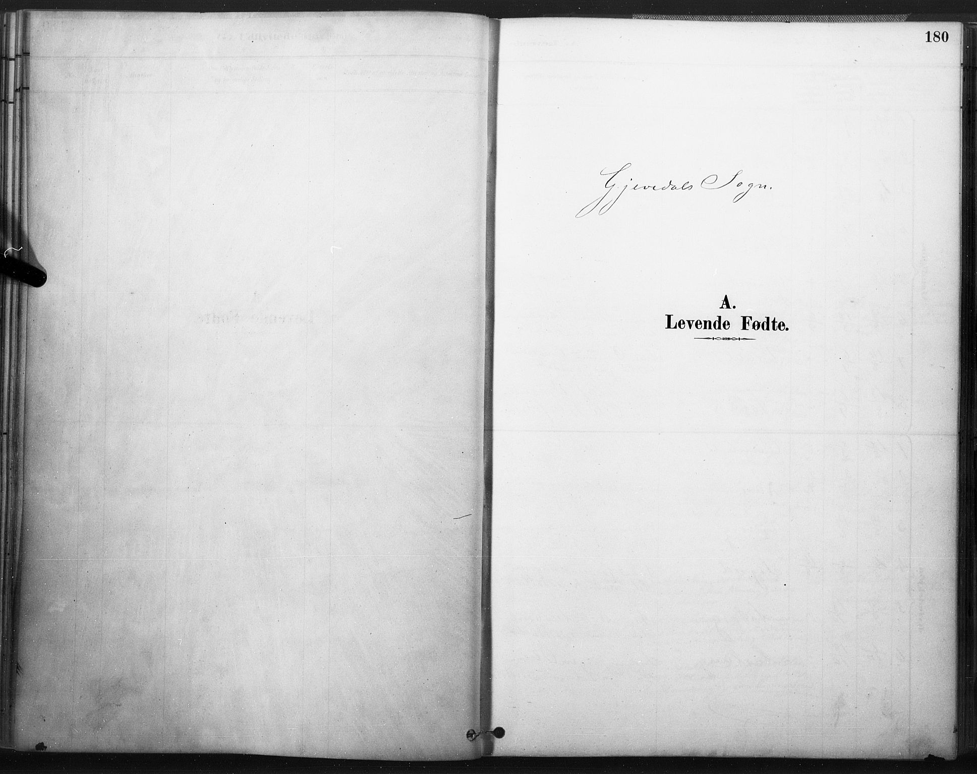 Åmli sokneprestkontor, SAK/1111-0050/F/Fa/Fac/L0010: Ministerialbok nr. A 10 /2, 1885-1899, s. 180