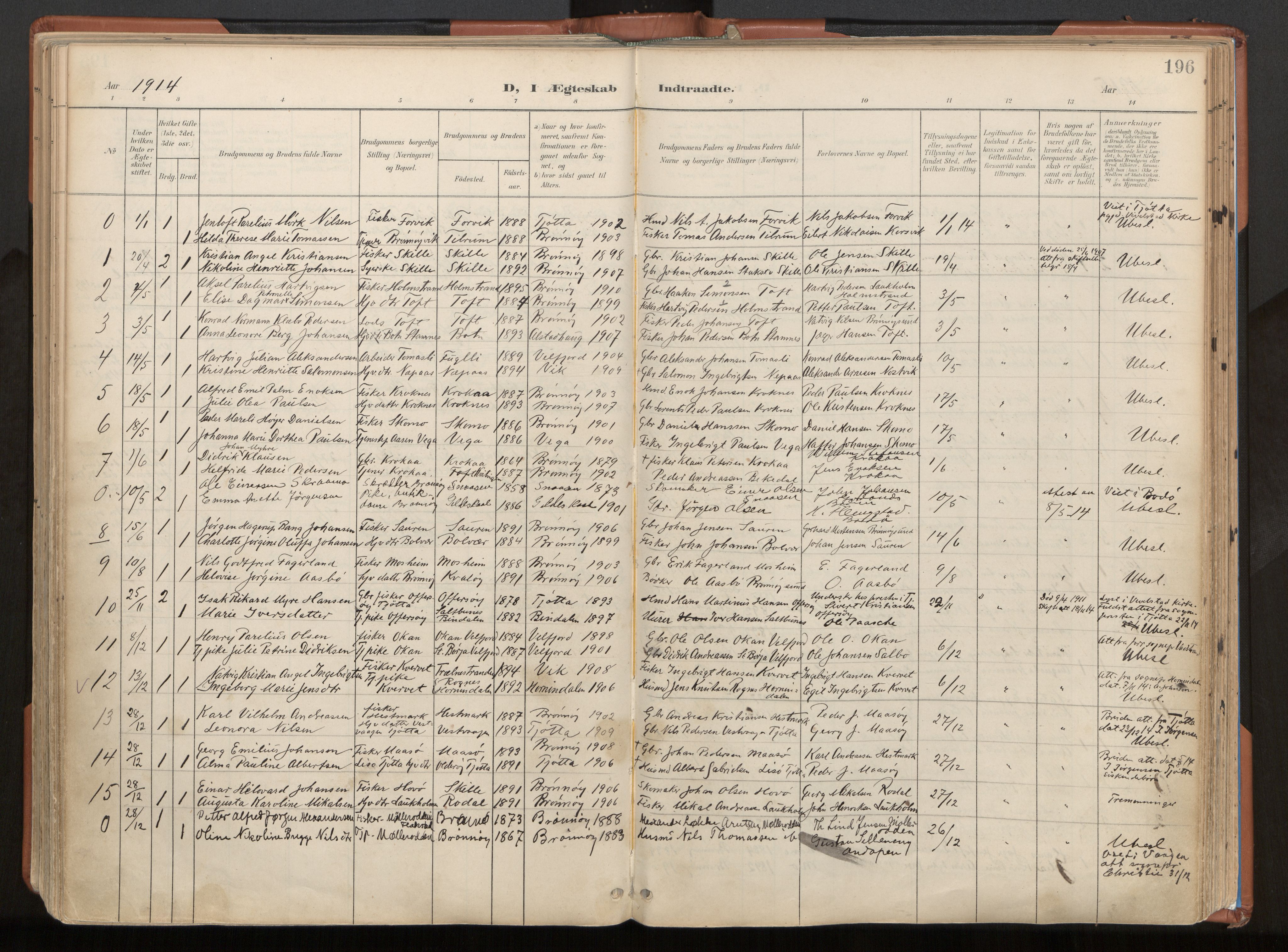 Ministerialprotokoller, klokkerbøker og fødselsregistre - Nordland, AV/SAT-A-1459/813/L0201: Ministerialbok nr. 813A11, 1901-1918, s. 196