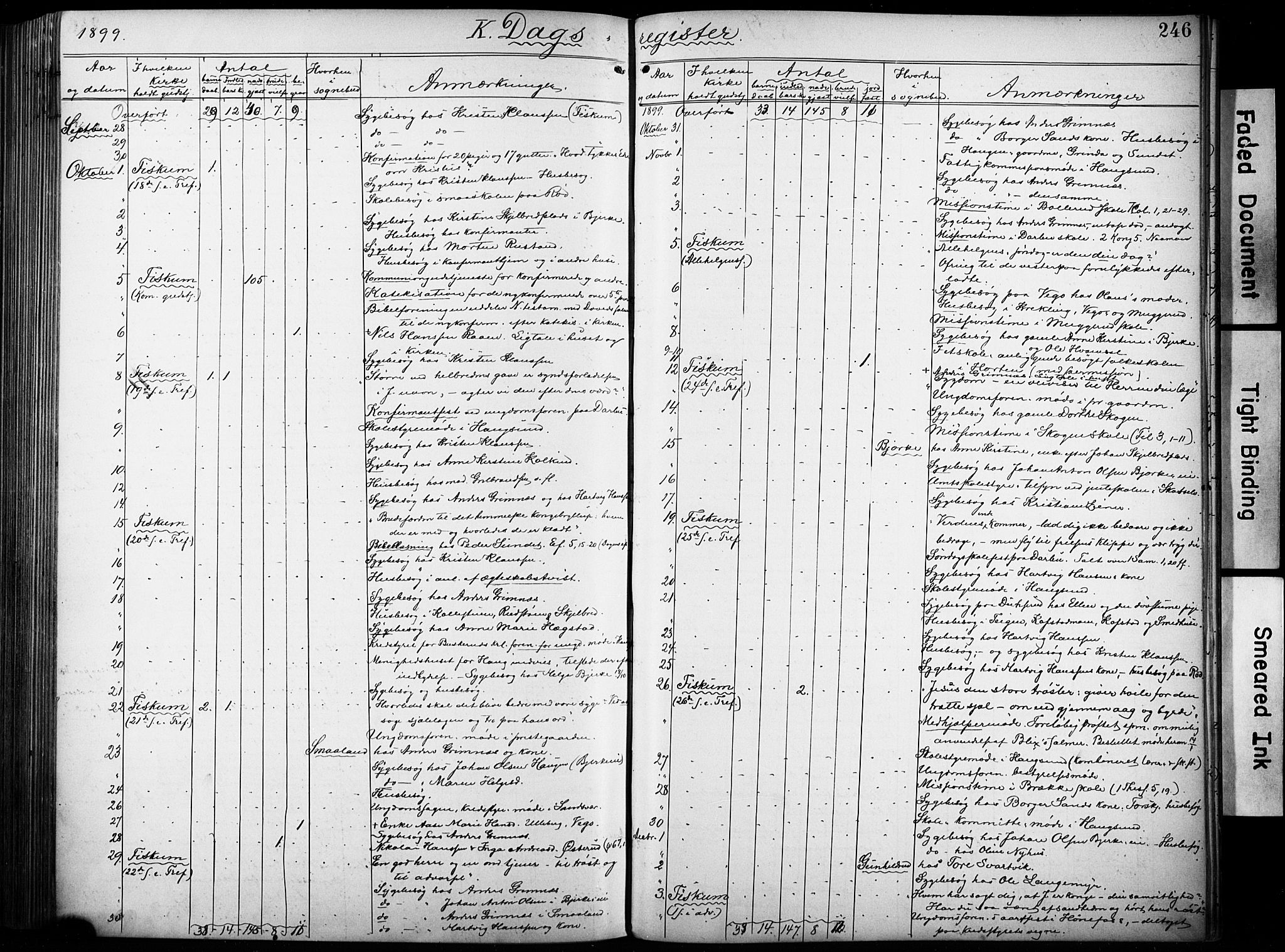Fiskum kirkebøker, AV/SAKO-A-15/F/Fa/L0003: Ministerialbok nr. 3, 1890-1905, s. 246