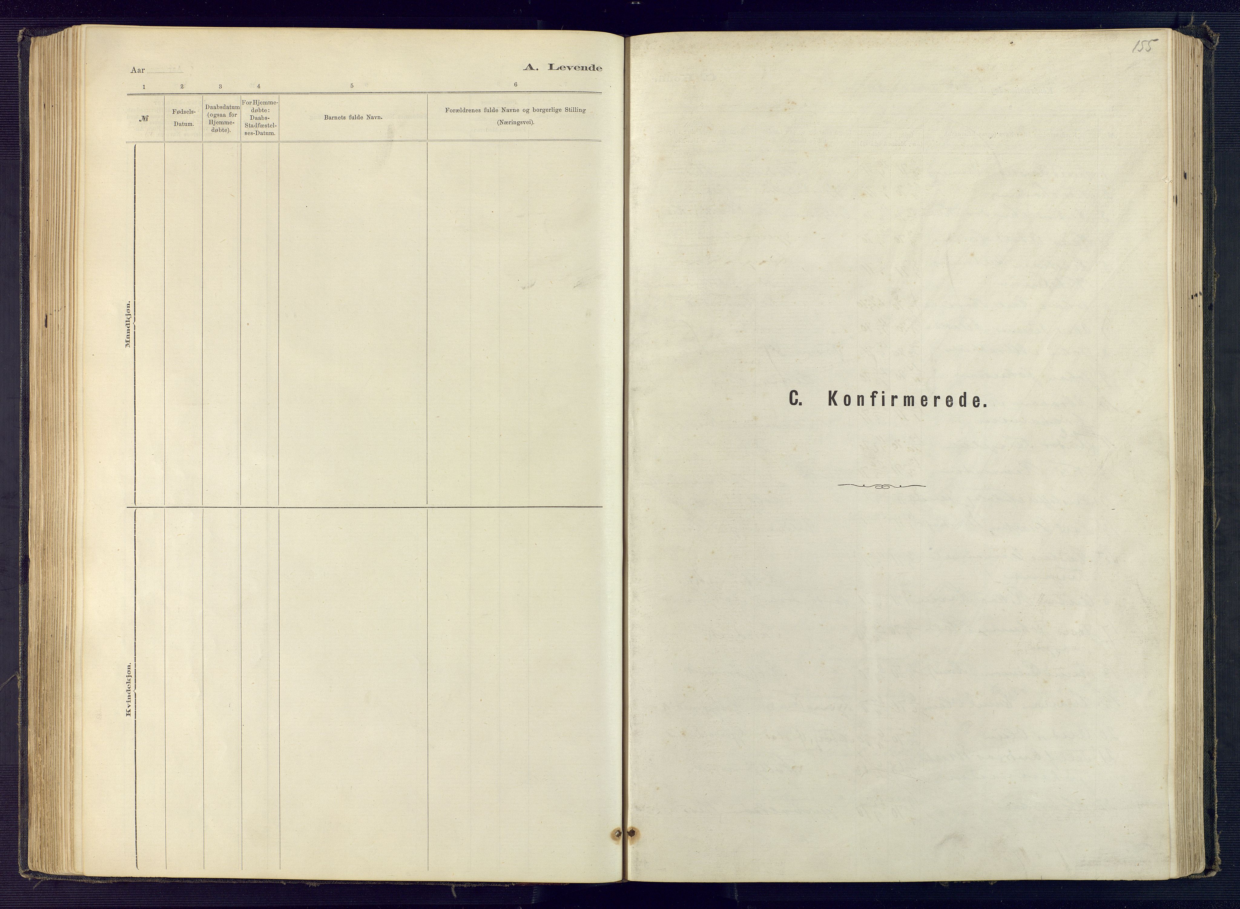 Hisøy sokneprestkontor, SAK/1111-0020/F/Fb/L0003: Klokkerbok nr. B 3, 1885-1905, s. 155