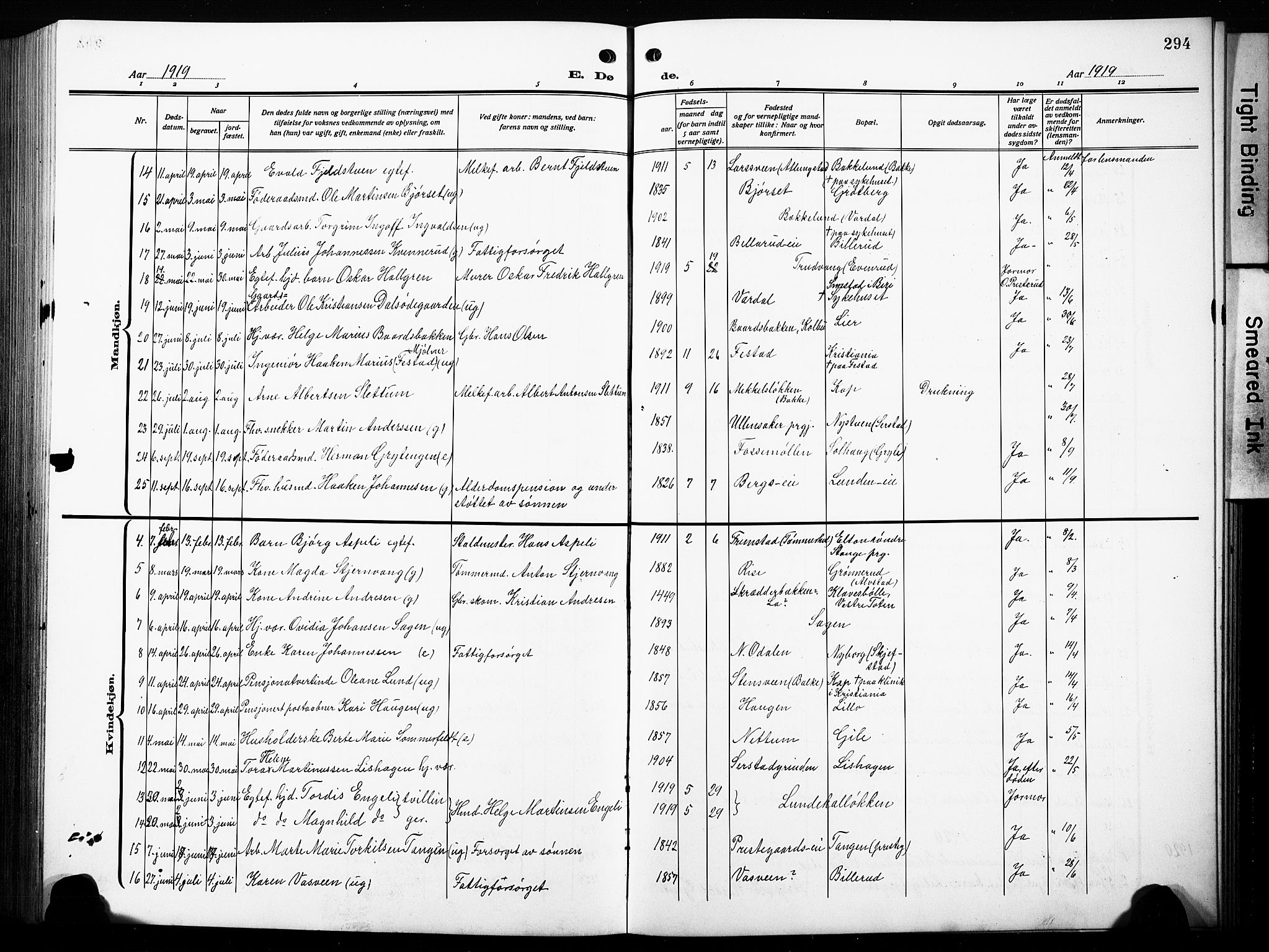 Østre Toten prestekontor, AV/SAH-PREST-104/H/Ha/Hab/L0010: Klokkerbok nr. 10, 1912-1933, s. 294