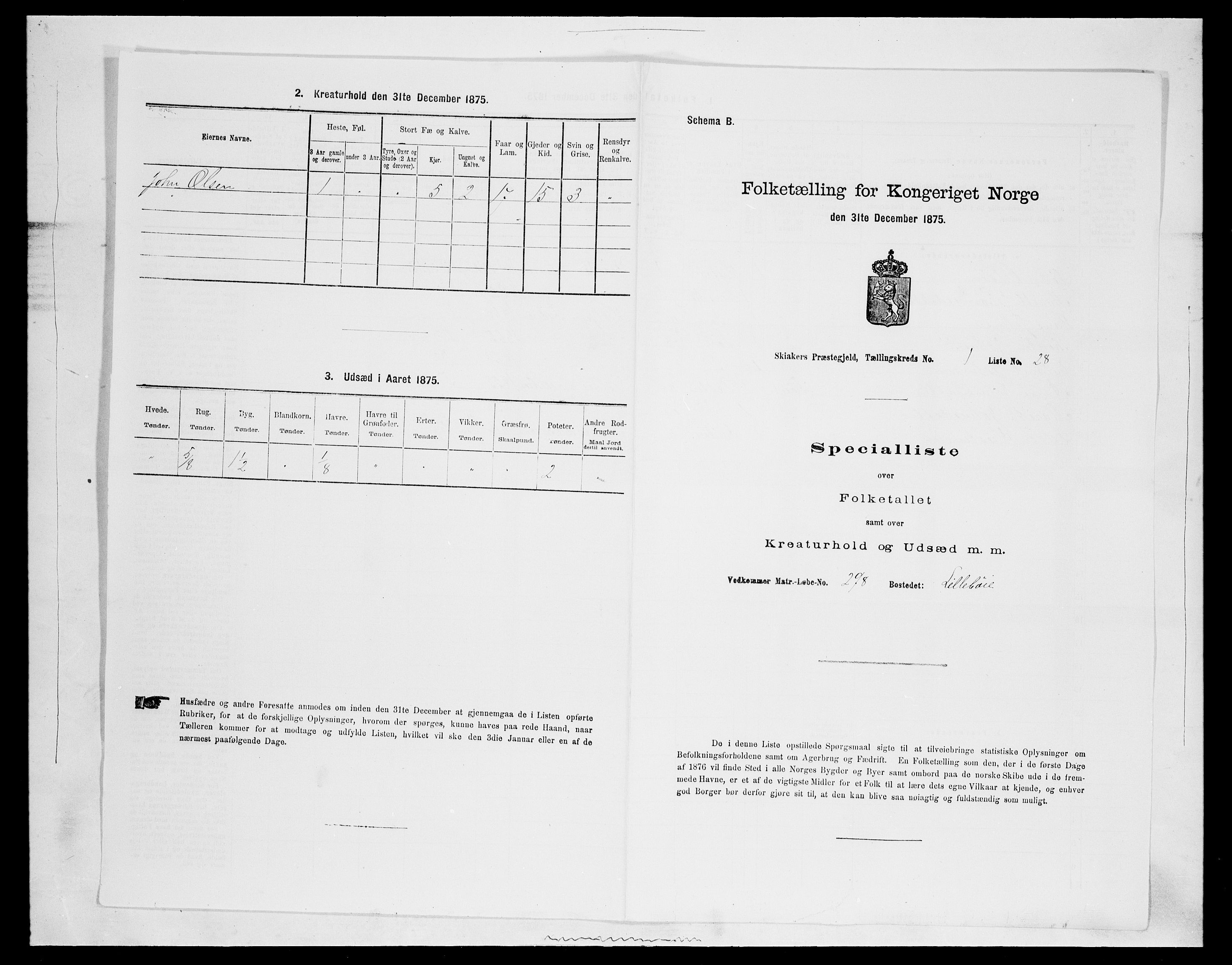 SAH, Folketelling 1875 for 0513P Skjåk prestegjeld, 1875, s. 111