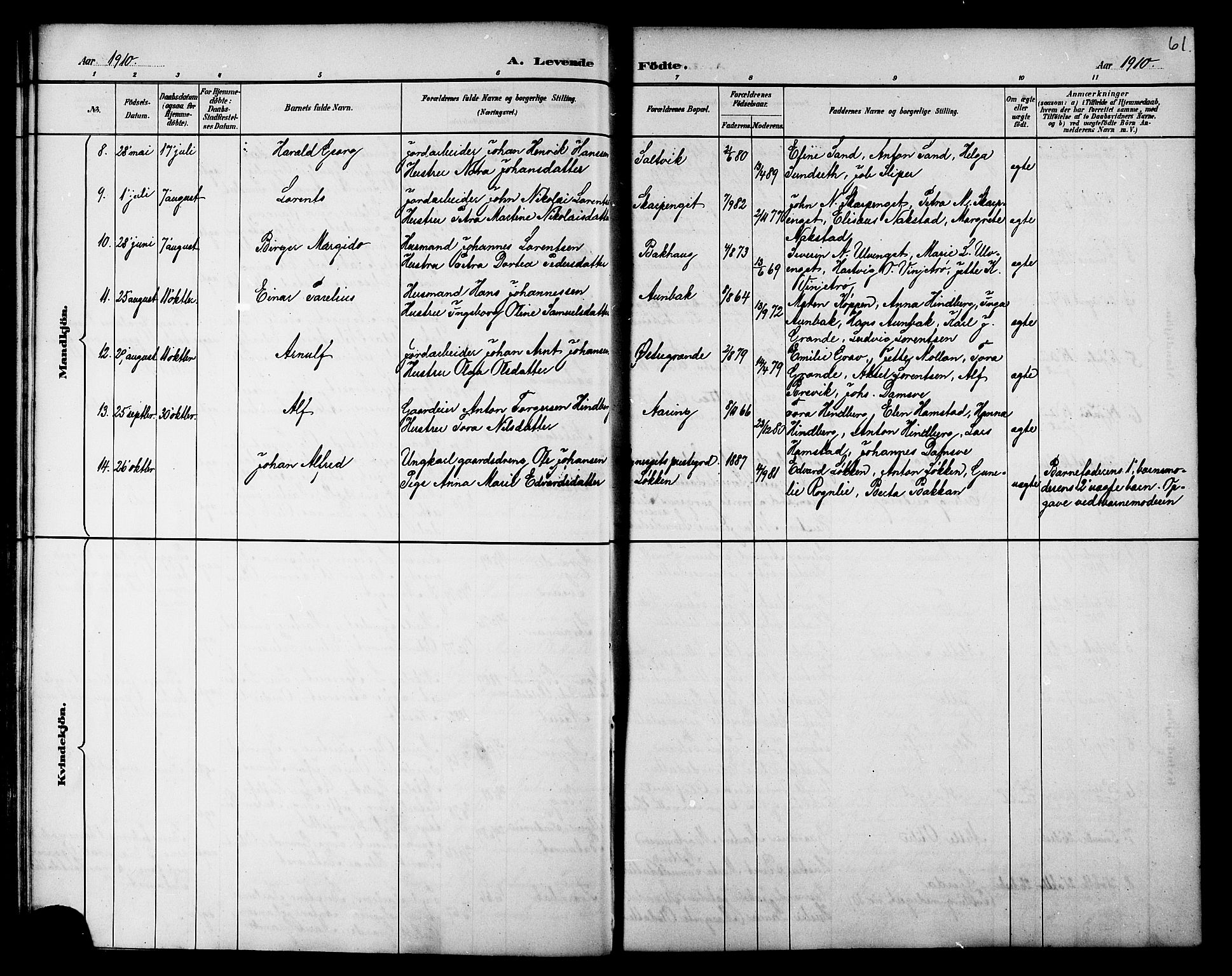 Ministerialprotokoller, klokkerbøker og fødselsregistre - Nord-Trøndelag, AV/SAT-A-1458/733/L0327: Klokkerbok nr. 733C02, 1888-1918, s. 61