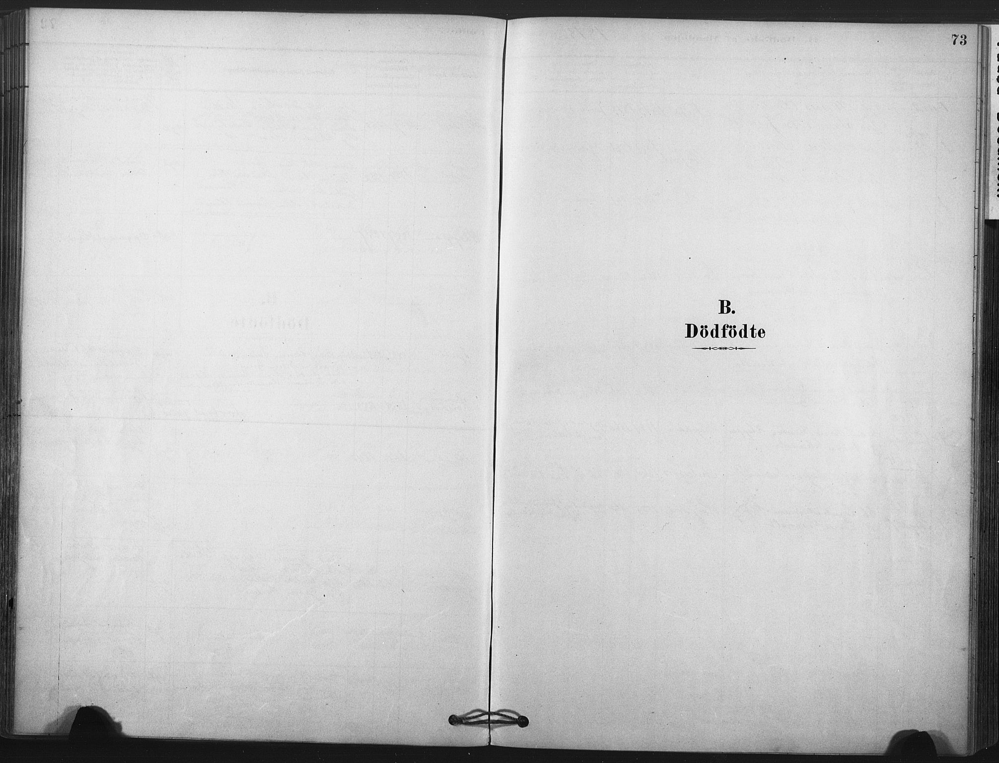 Andebu kirkebøker, SAKO/A-336/F/Fa/L0009: Ministerialbok nr. 9, 1878-1909, s. 73