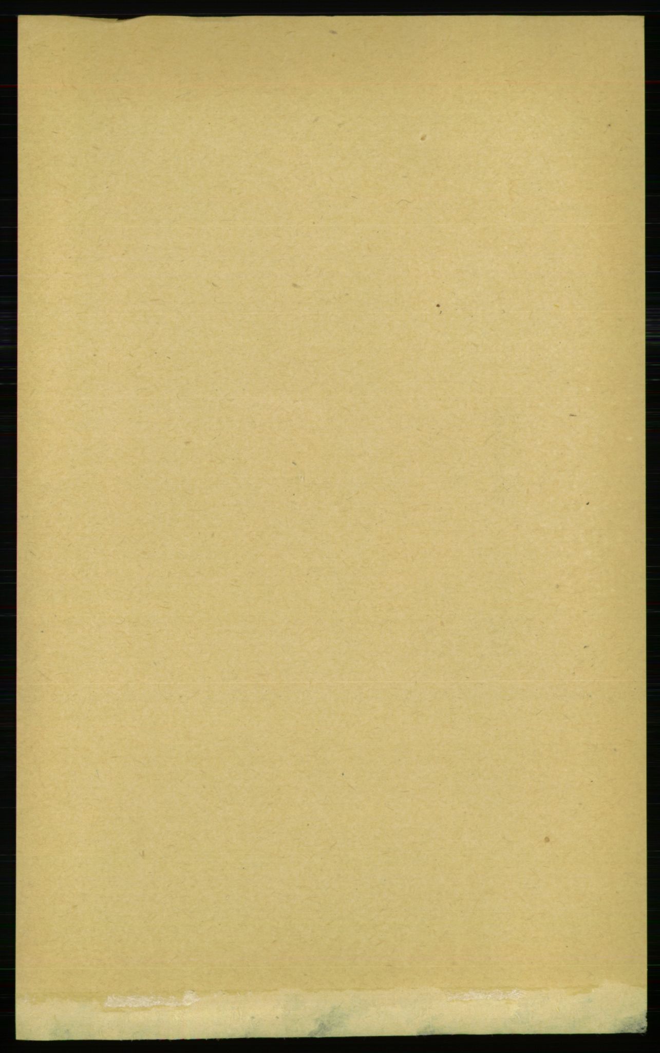 RA, Folketelling 1891 for 1640 Røros herred, 1891, s. 2875