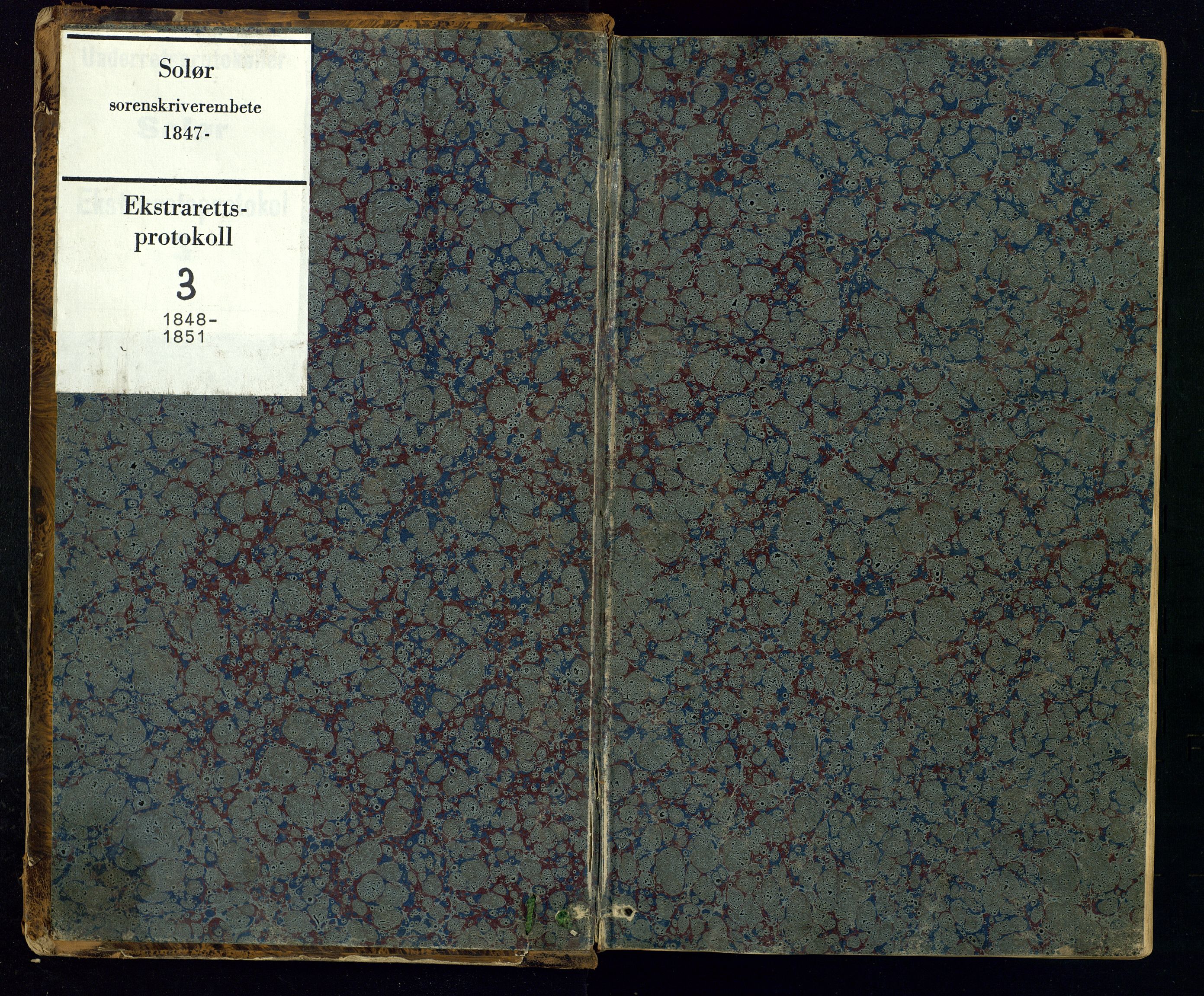 Solør tingrett, AV/SAH-TING-008/G/Gc/Gca/L0003: Ekstrarettsprotokoll, 1848-1851