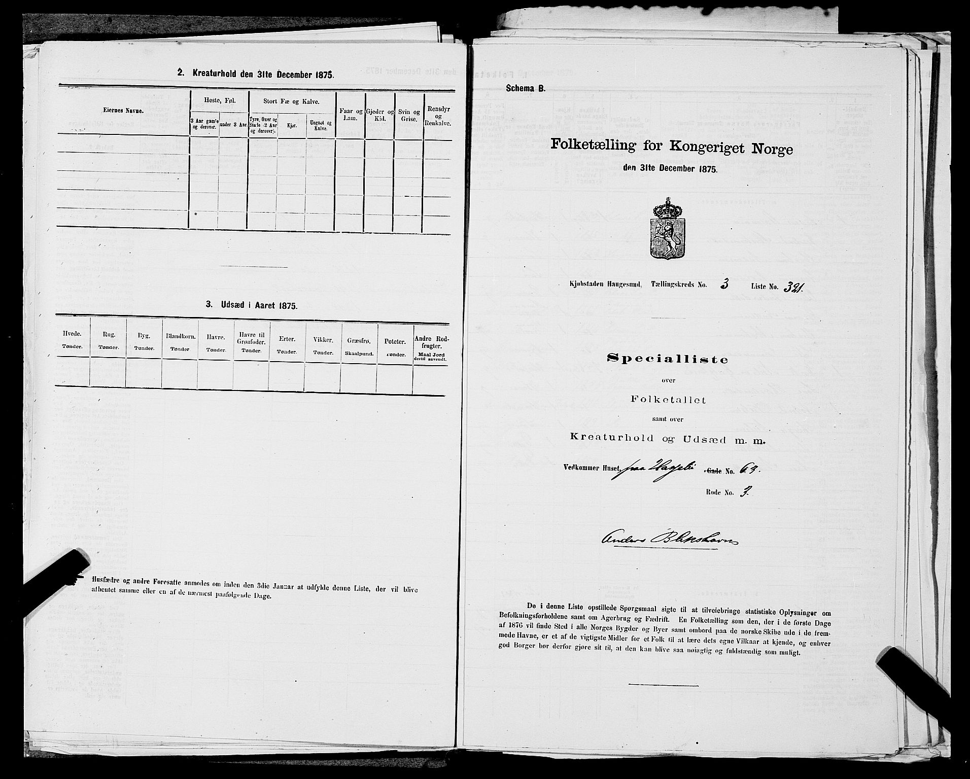 SAST, Folketelling 1875 for 1106B Torvastad prestegjeld, Haugesund kjøpstad, 1875, s. 722