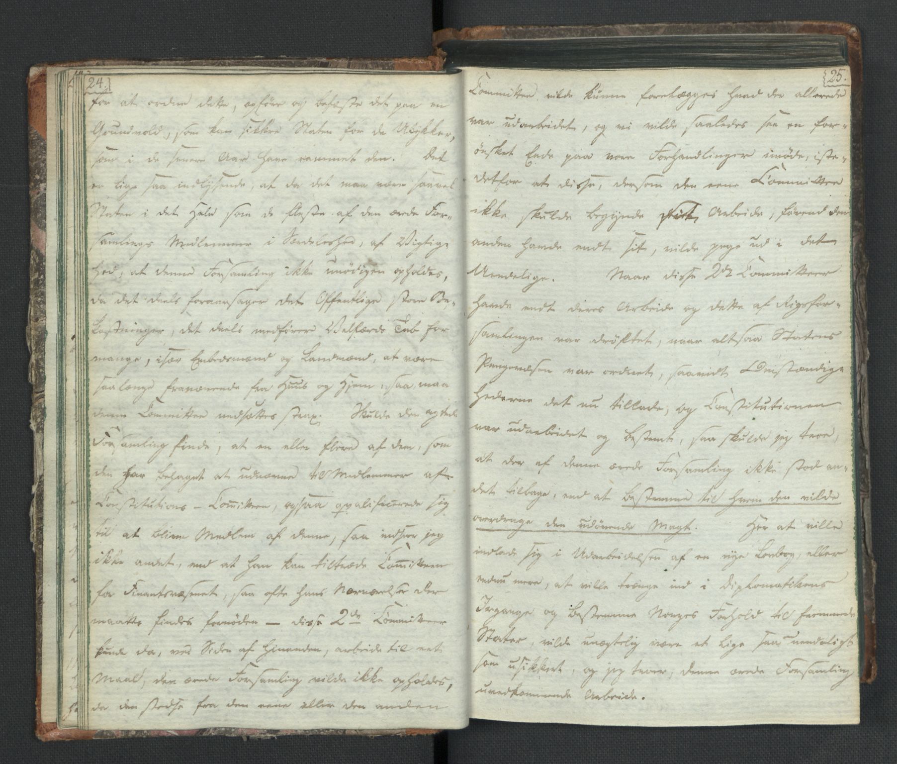 Manuskriptsamlingen, RA/EA-3667/H/L0021: Byfogd Gregers Winther Wulfbergs dagbok under Riksforsamlingen på Eidsvoll, 1814, s. 24-25
