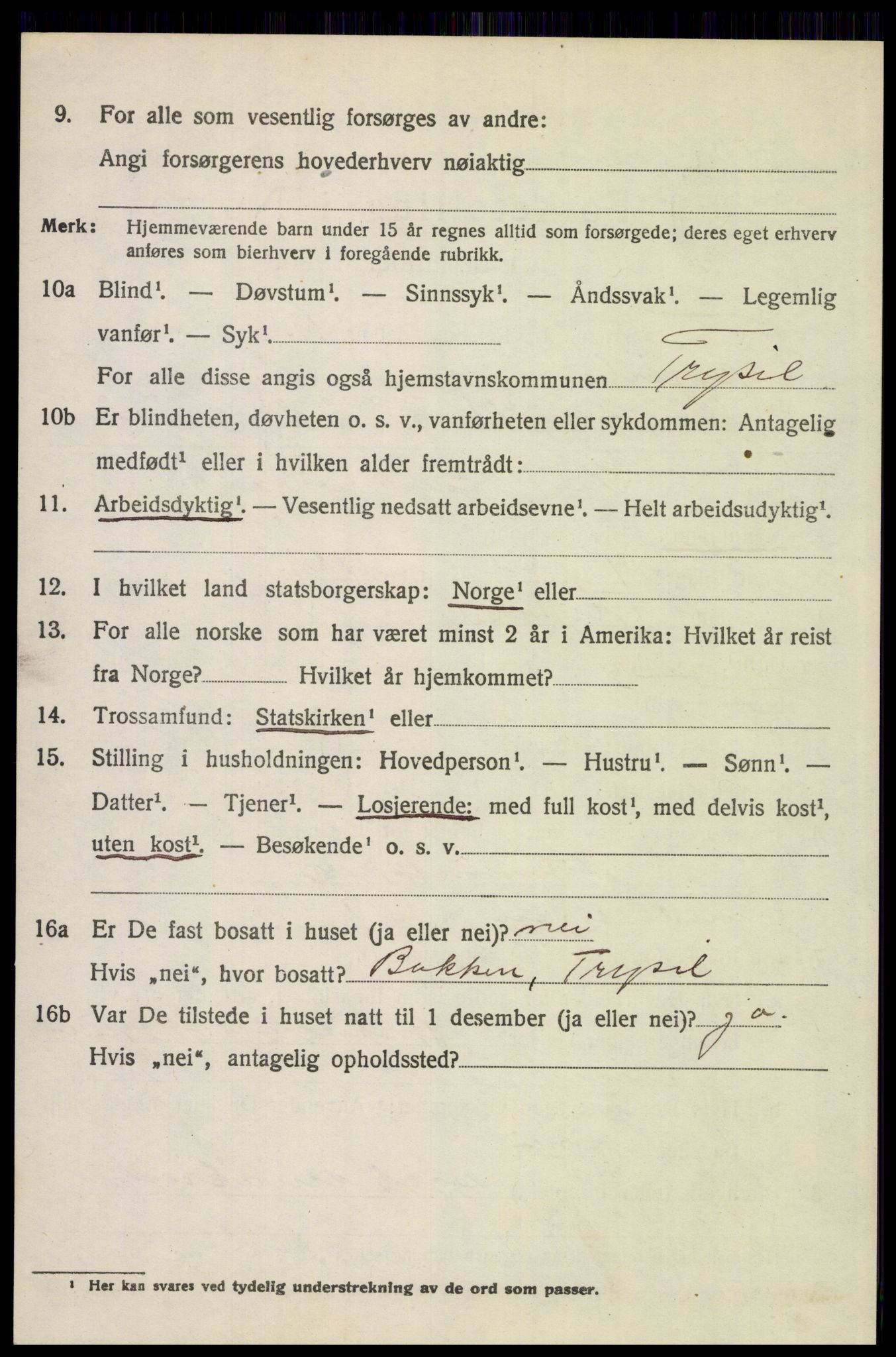 SAH, Folketelling 1920 for 0428 Trysil herred, 1920, s. 9406