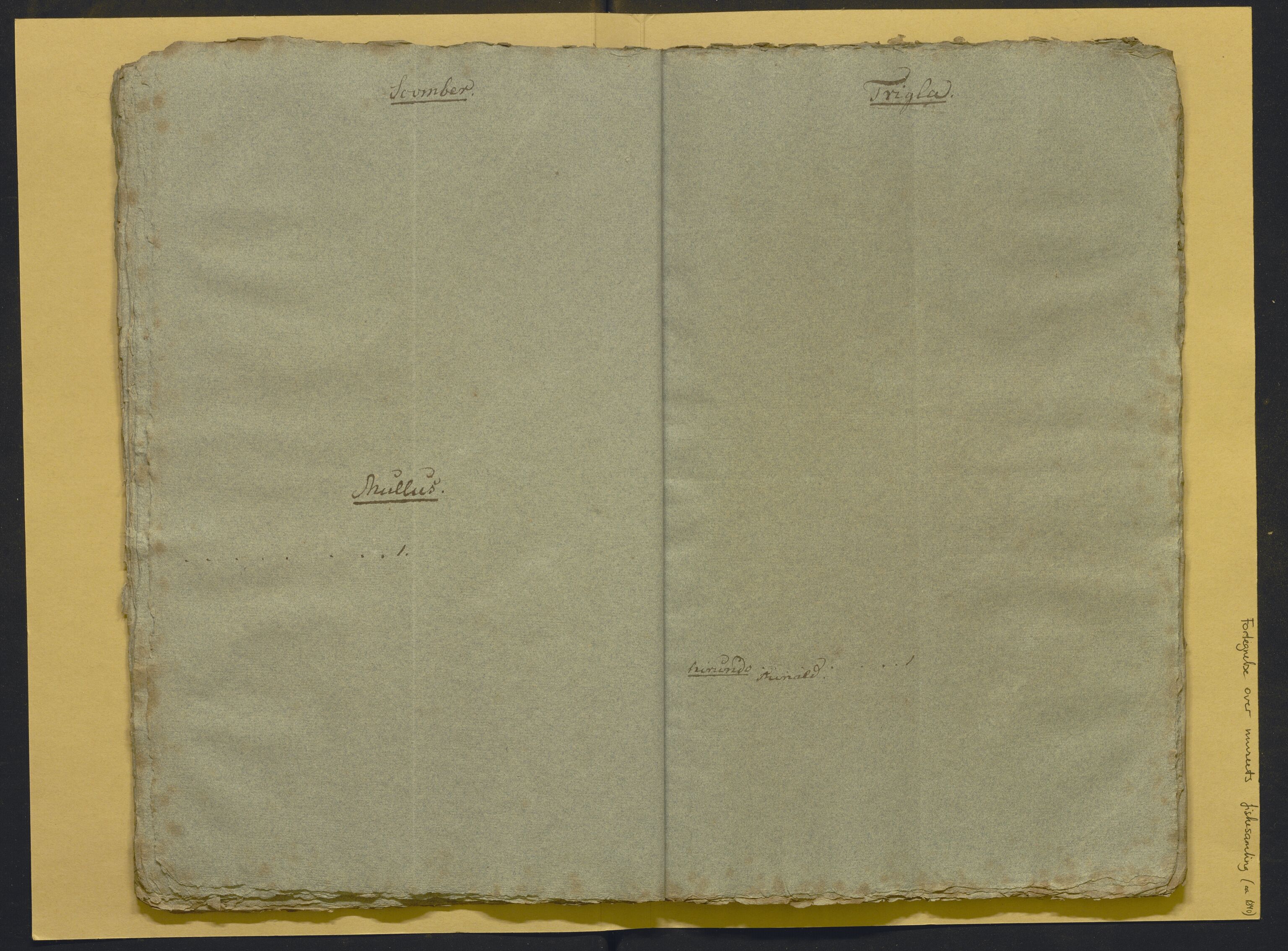 Bergens Museum, AV/SAB-A-17301/02/F/L0001: Kataloger over gjenstander og pergamentbrev , 1825-1880, s. 509