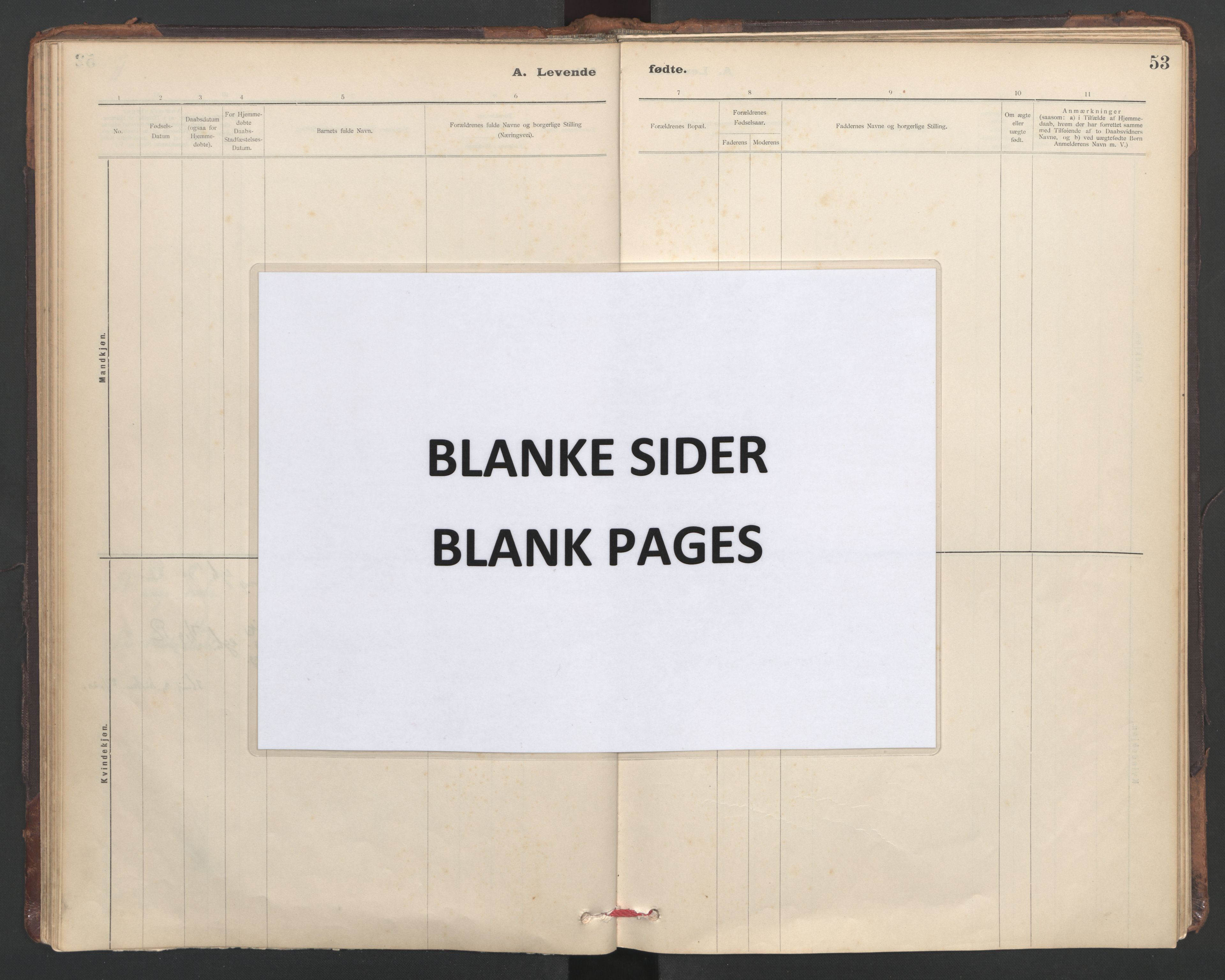 Ministerialprotokoller, klokkerbøker og fødselsregistre - Sør-Trøndelag, AV/SAT-A-1456/635/L0552: Ministerialbok nr. 635A02, 1899-1919, s. 53