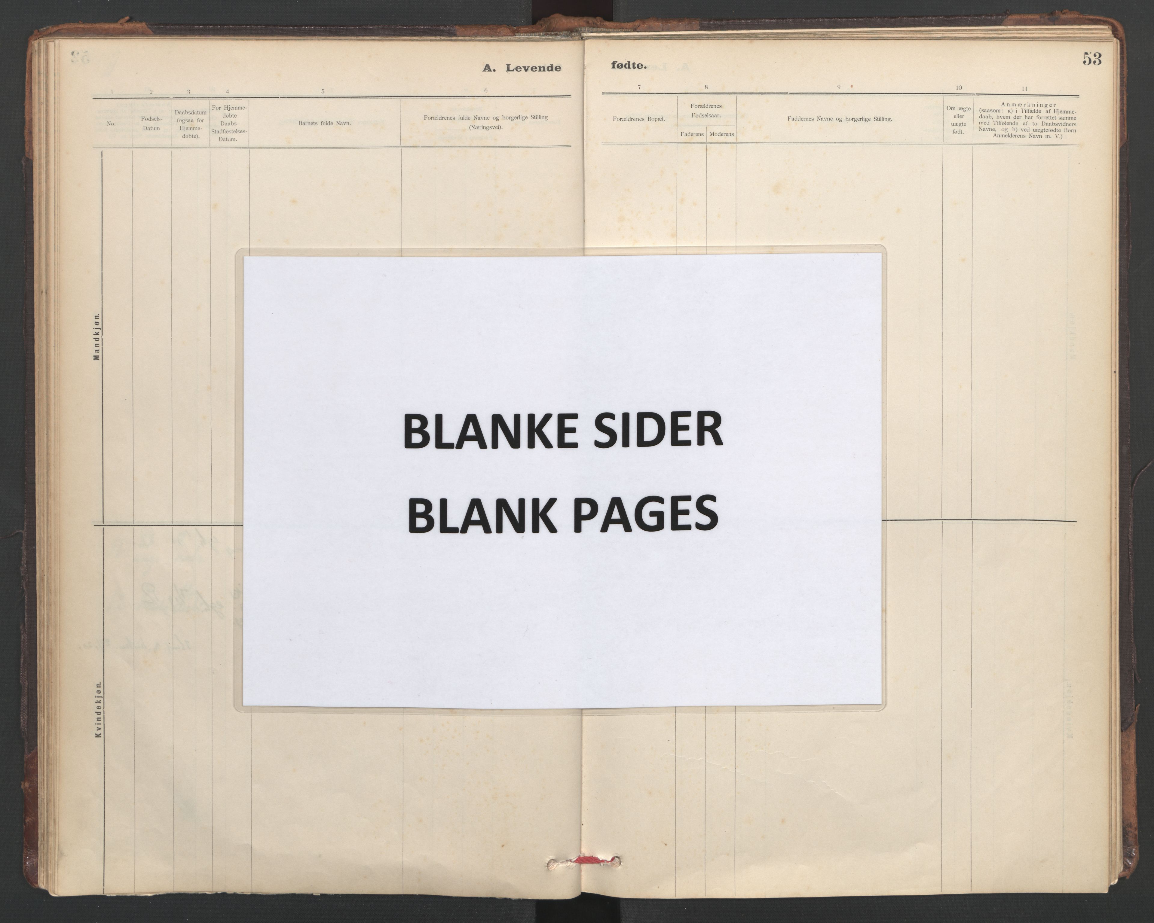 Ministerialprotokoller, klokkerbøker og fødselsregistre - Sør-Trøndelag, SAT/A-1456/635/L0552: Ministerialbok nr. 635A02, 1899-1919, s. 53