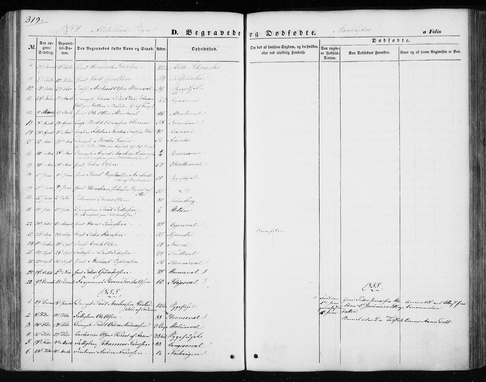 Ministerialprotokoller, klokkerbøker og fødselsregistre - Nord-Trøndelag, AV/SAT-A-1458/717/L0154: Ministerialbok nr. 717A07 /1, 1850-1862, s. 319