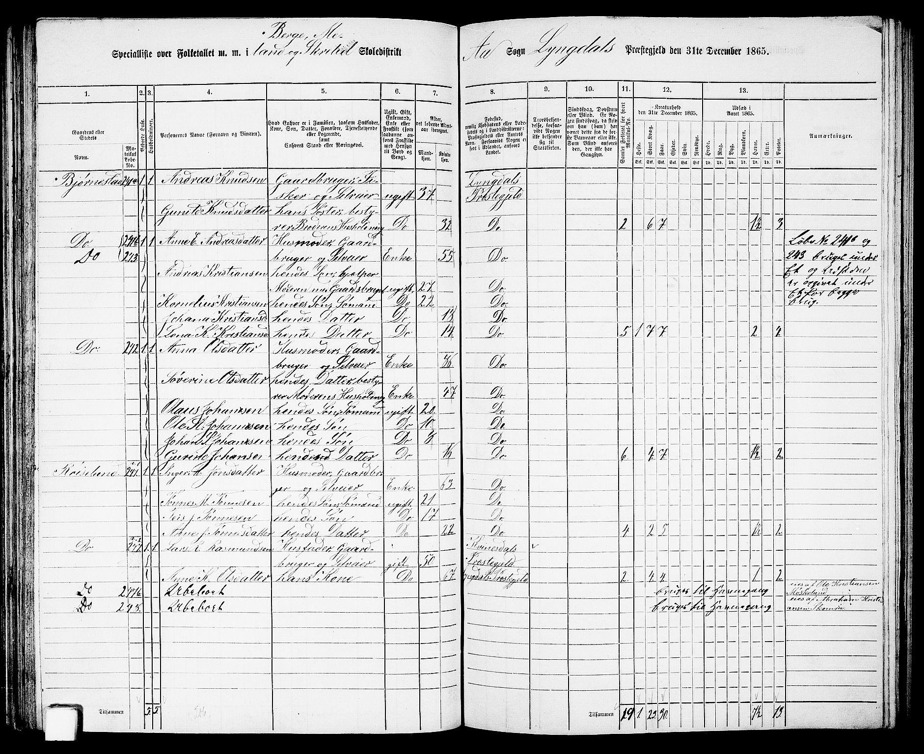 RA, Folketelling 1865 for 1032P Lyngdal prestegjeld, 1865, s. 117