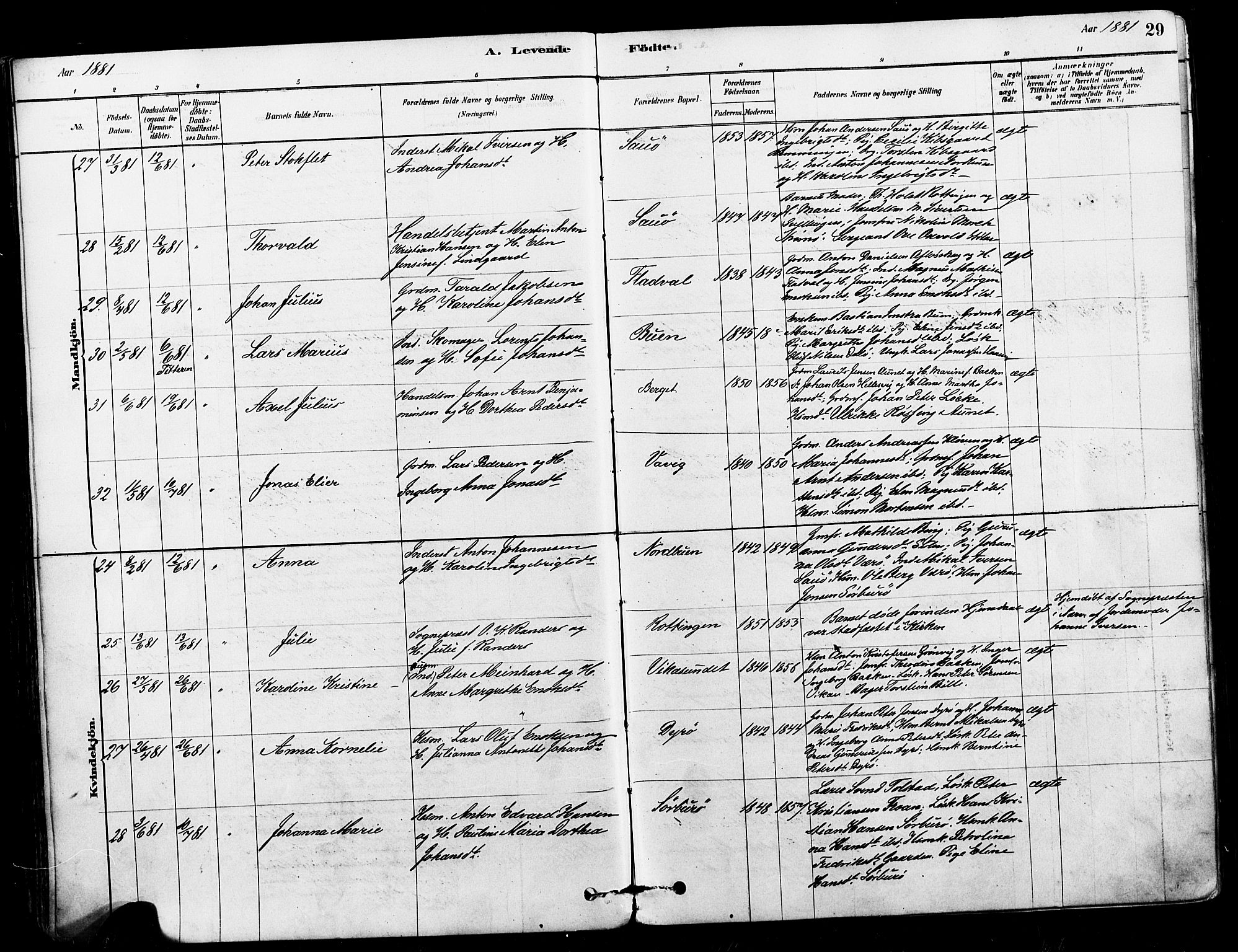 Ministerialprotokoller, klokkerbøker og fødselsregistre - Sør-Trøndelag, SAT/A-1456/640/L0578: Ministerialbok nr. 640A03, 1879-1889, s. 29