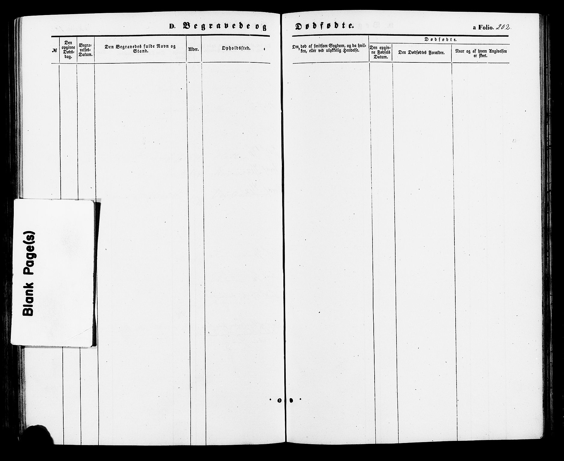 Nord-Audnedal sokneprestkontor, SAK/1111-0032/F/Fa/Faa/L0002: Ministerialbok nr. A 2, 1857-1882, s. 202