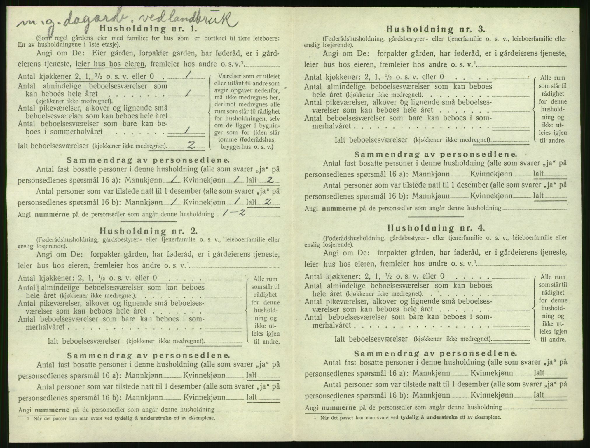 SAT, Folketelling 1920 for 1528 Sykkylven herred, 1920, s. 252