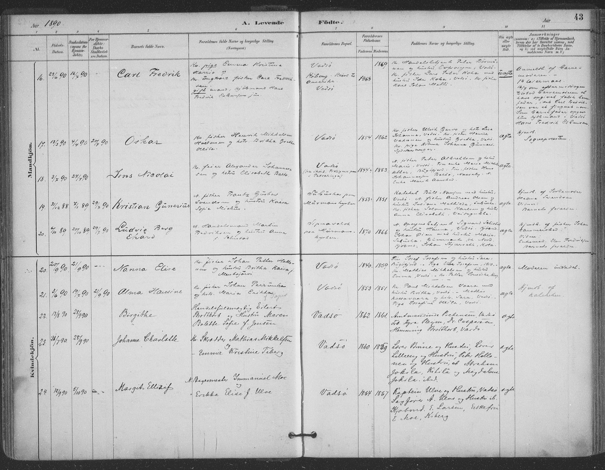 Vadsø sokneprestkontor, AV/SATØ-S-1325/H/Ha/L0006kirke: Ministerialbok nr. 6, 1885-1895, s. 43