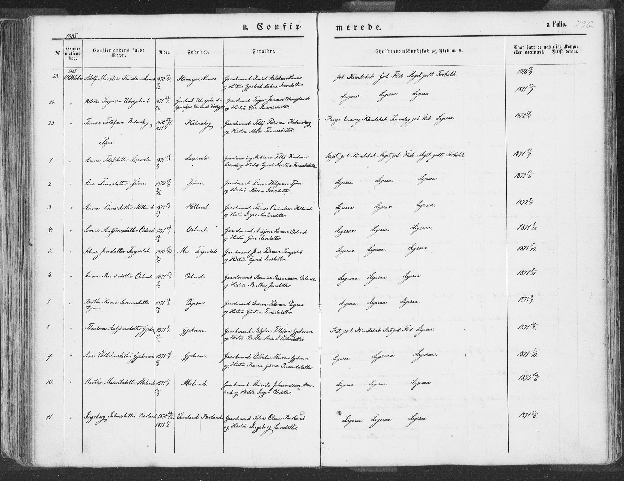 Helleland sokneprestkontor, AV/SAST-A-101810: Ministerialbok nr. A 7.1, 1863-1886, s. 236