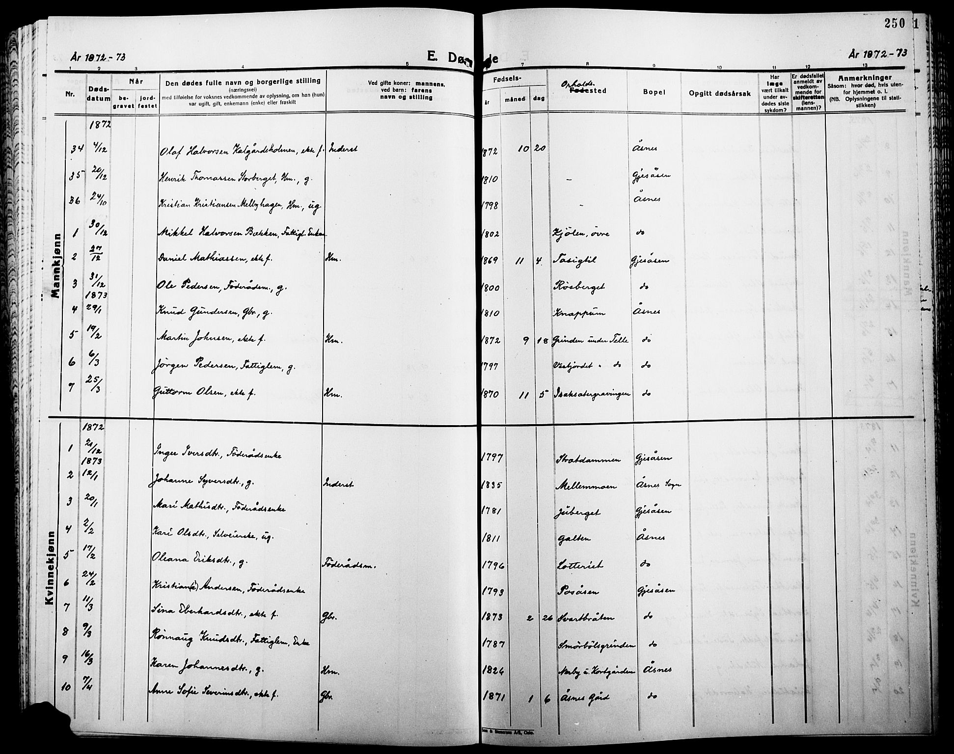 Åsnes prestekontor, SAH/PREST-042/H/Ha/Haa/L0000B: Ministerialbok, 1870-1889, s. 250