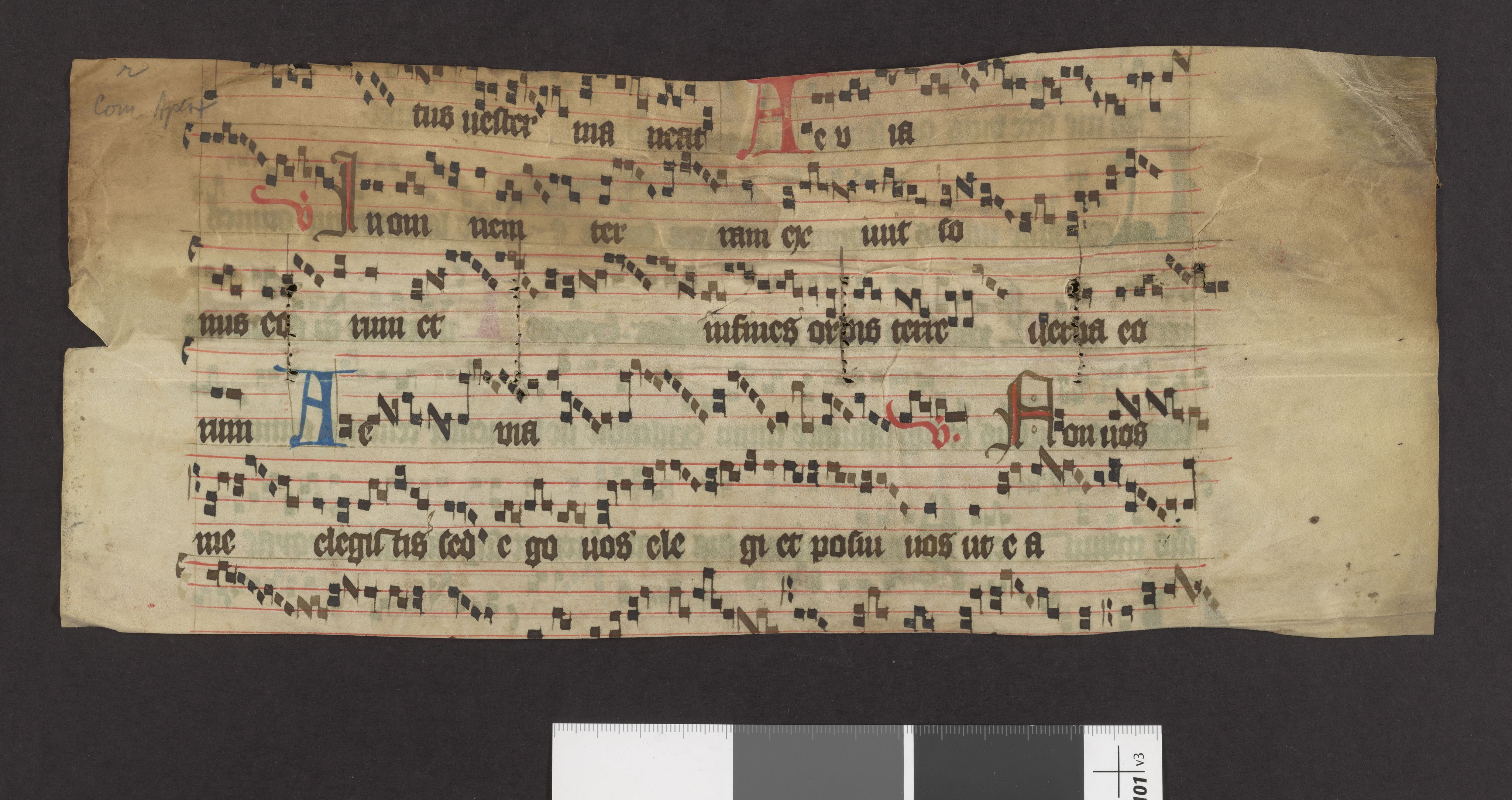 Riksarkivets diplomsamling, AV/RA-EA-5965/F27/F27A/F27Ab/L0002: Latinske fragmenter stort format, 1100-1536, s. 54