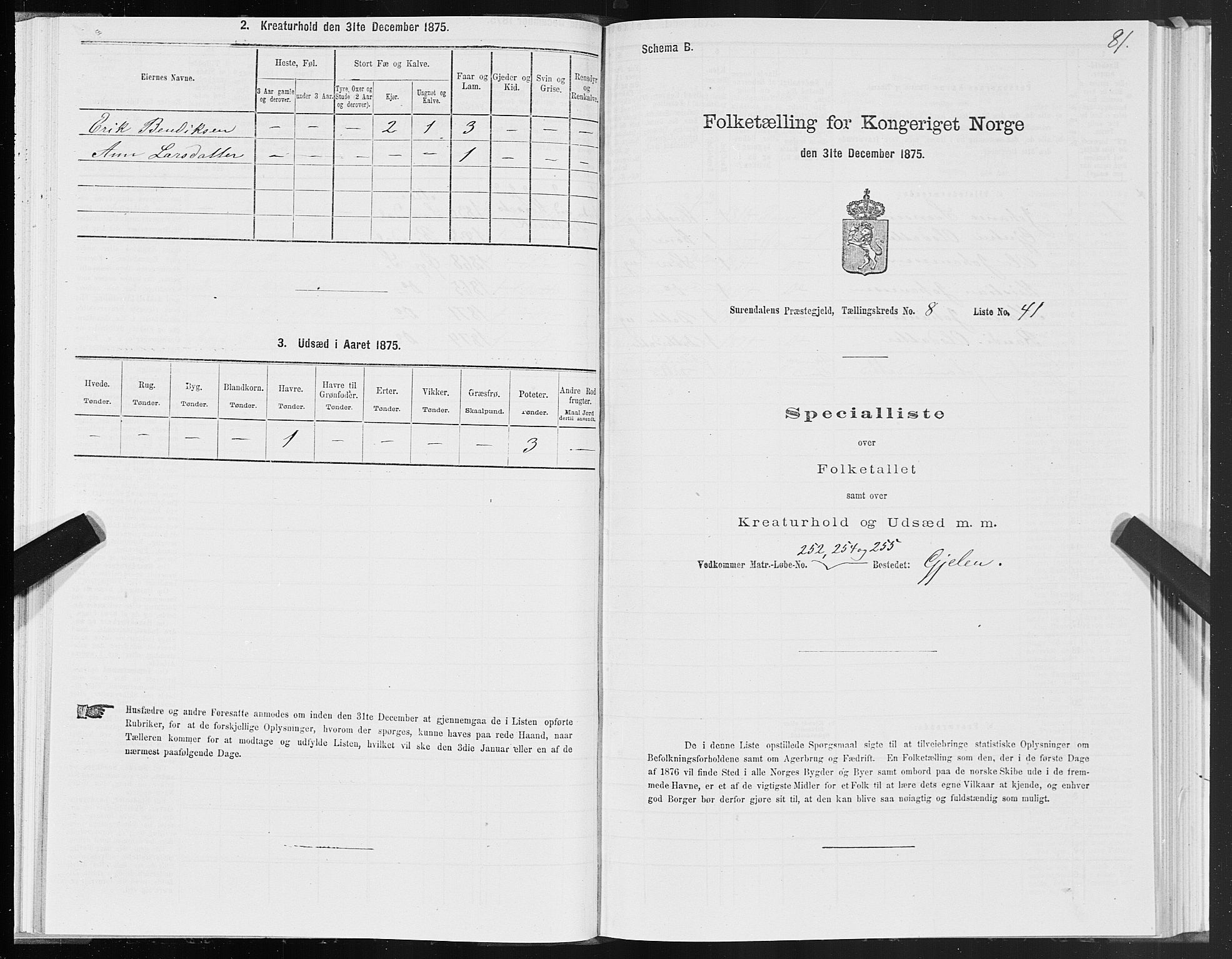 SAT, Folketelling 1875 for 1566P Surnadal prestegjeld, 1875, s. 4081